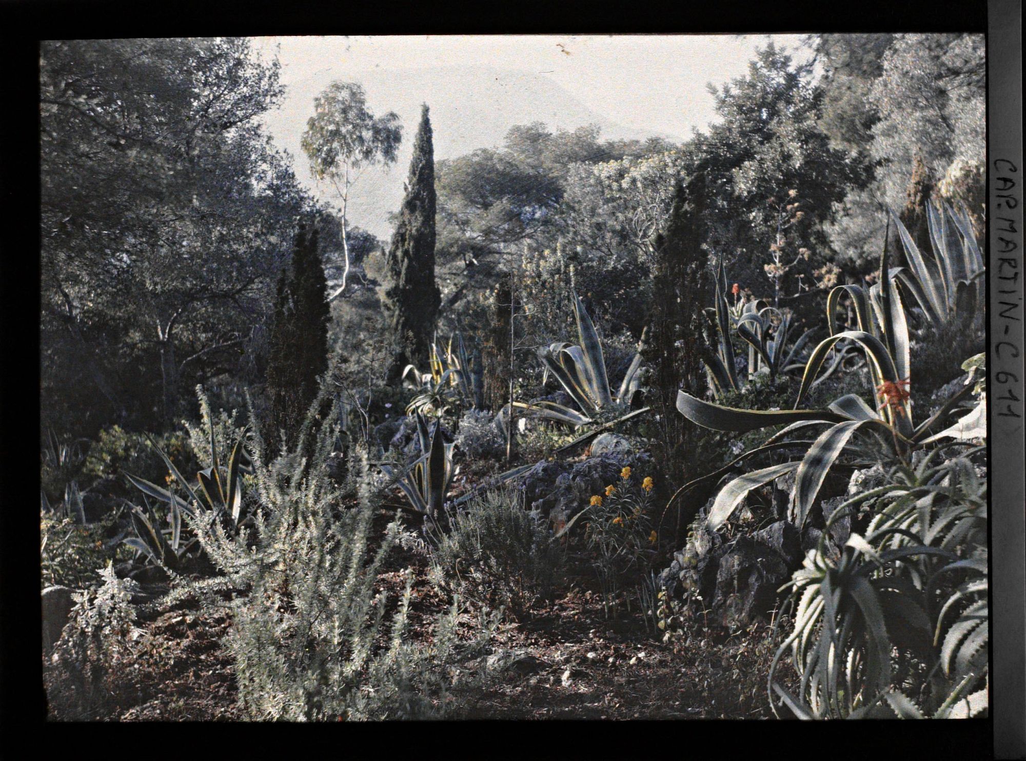 Image représentant Partie du jardin comprise entre Dunur (sic) et Miramar
