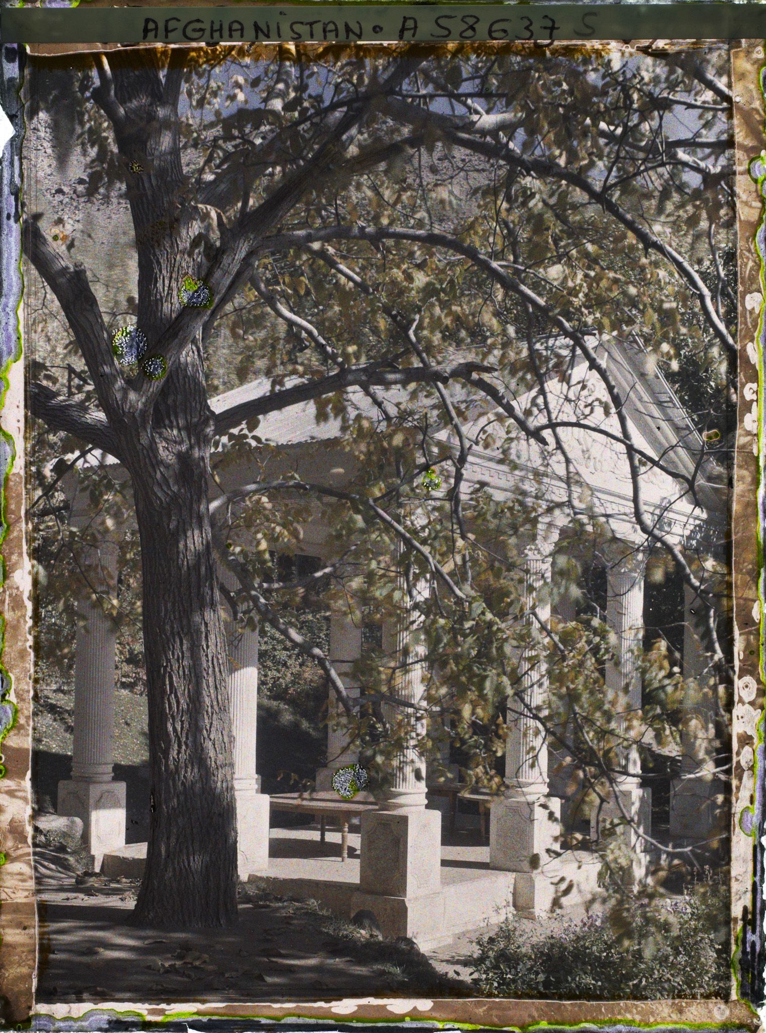 Image représentant IF928_A058637.jpg