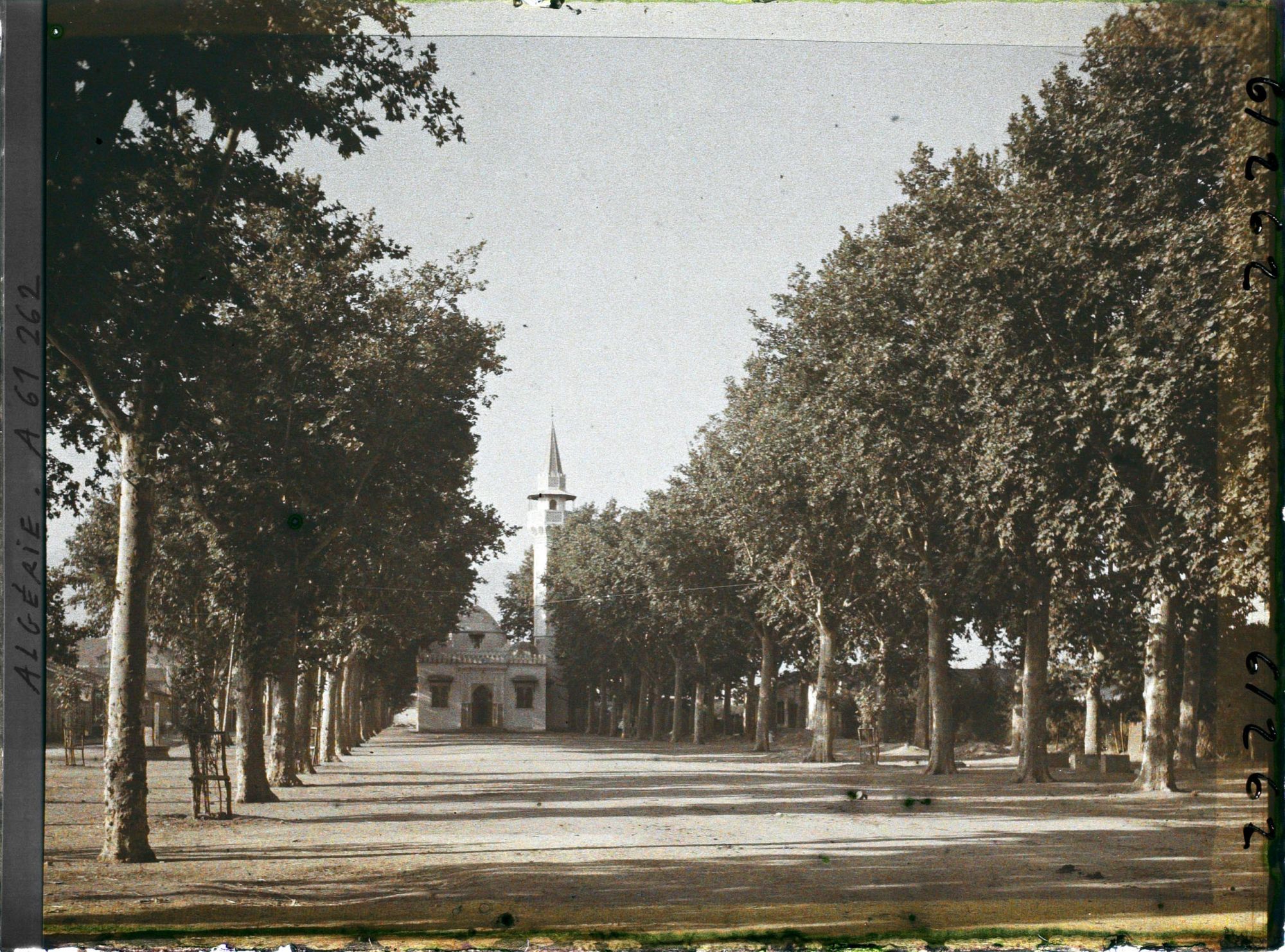Image représentant Avenue de la Mosquée
