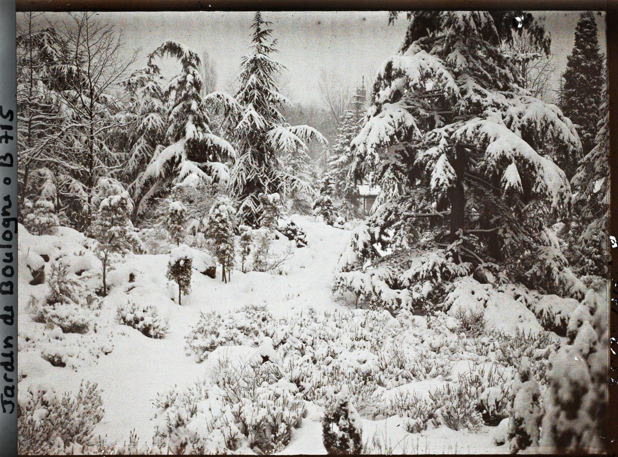 Image représentant Espace arboré du " sanctuaire japonais " sous la neige avec une allée menant au " village japonais "