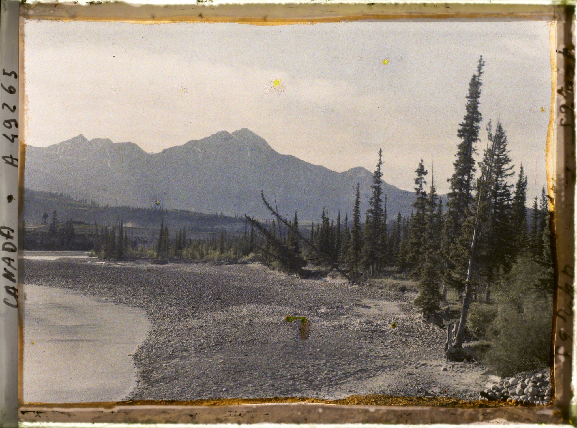 Image représentant Canada, Jasper-Parc, Paysage s/ les rives de l'Athabasca