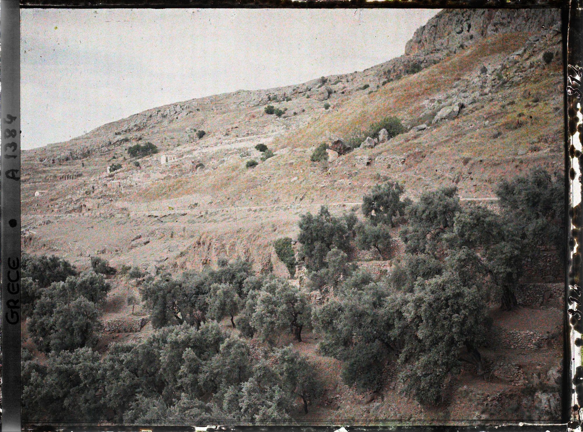 Image représentant Vers le Temenos ou Hieron (sanctuaire) d'Apollon (vue en contre-plongée)