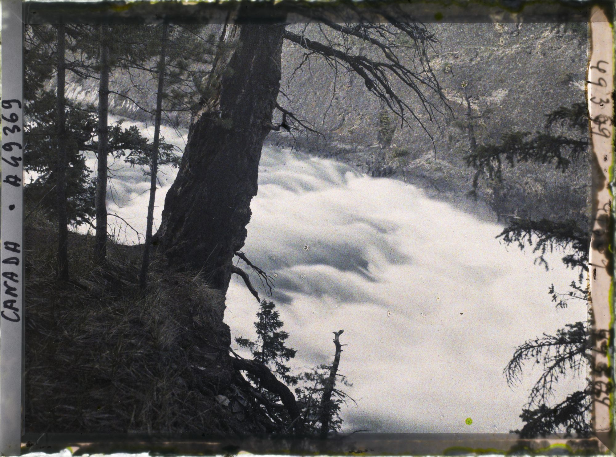 Image représentant Canada, Banff, Rapides de la Bow