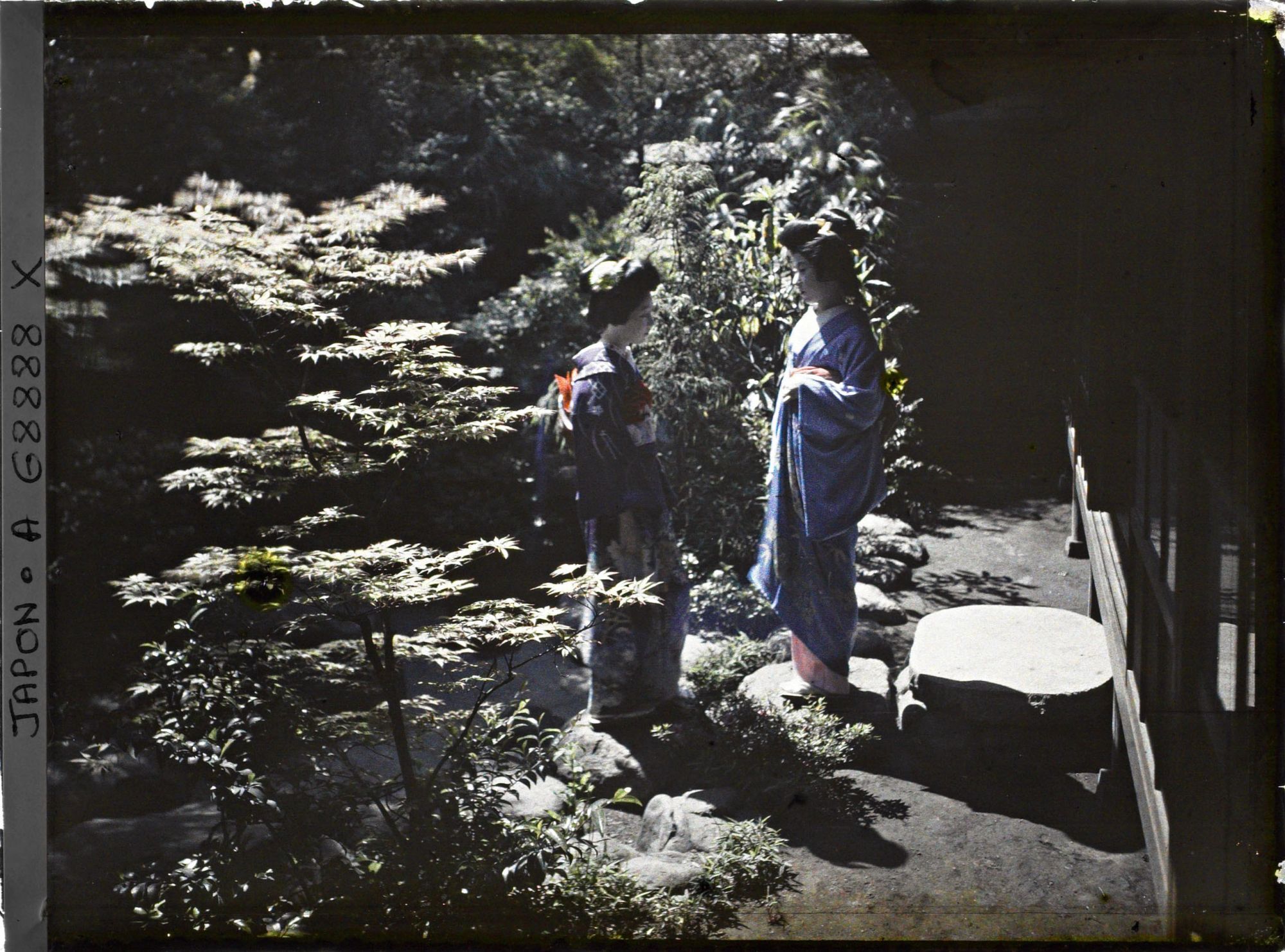 Image représentant geisha et maïko dans un jardin