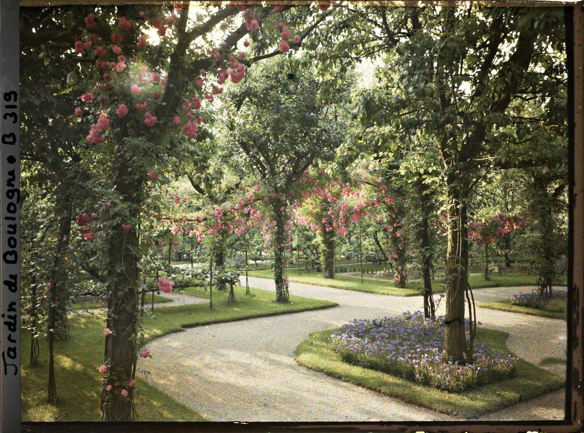 Image représentant Coin du verger-roseraie vu vers le nord-ouest, depuis le rond-point proche du jardin français