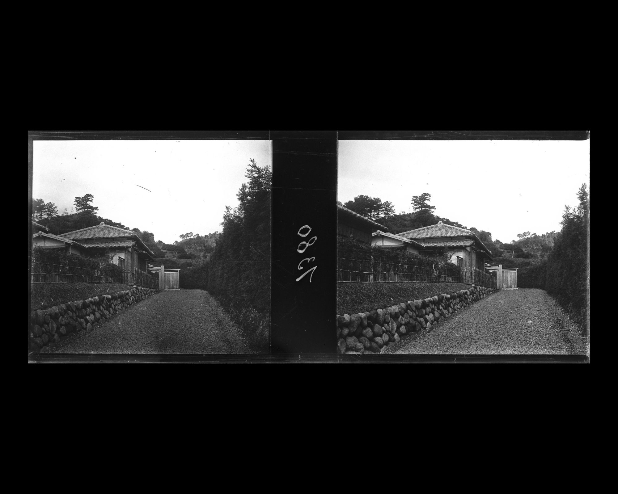 Image représentant L'allée conduisant à l'entrée du domaine campagnard du comte Shigenobu Okuma