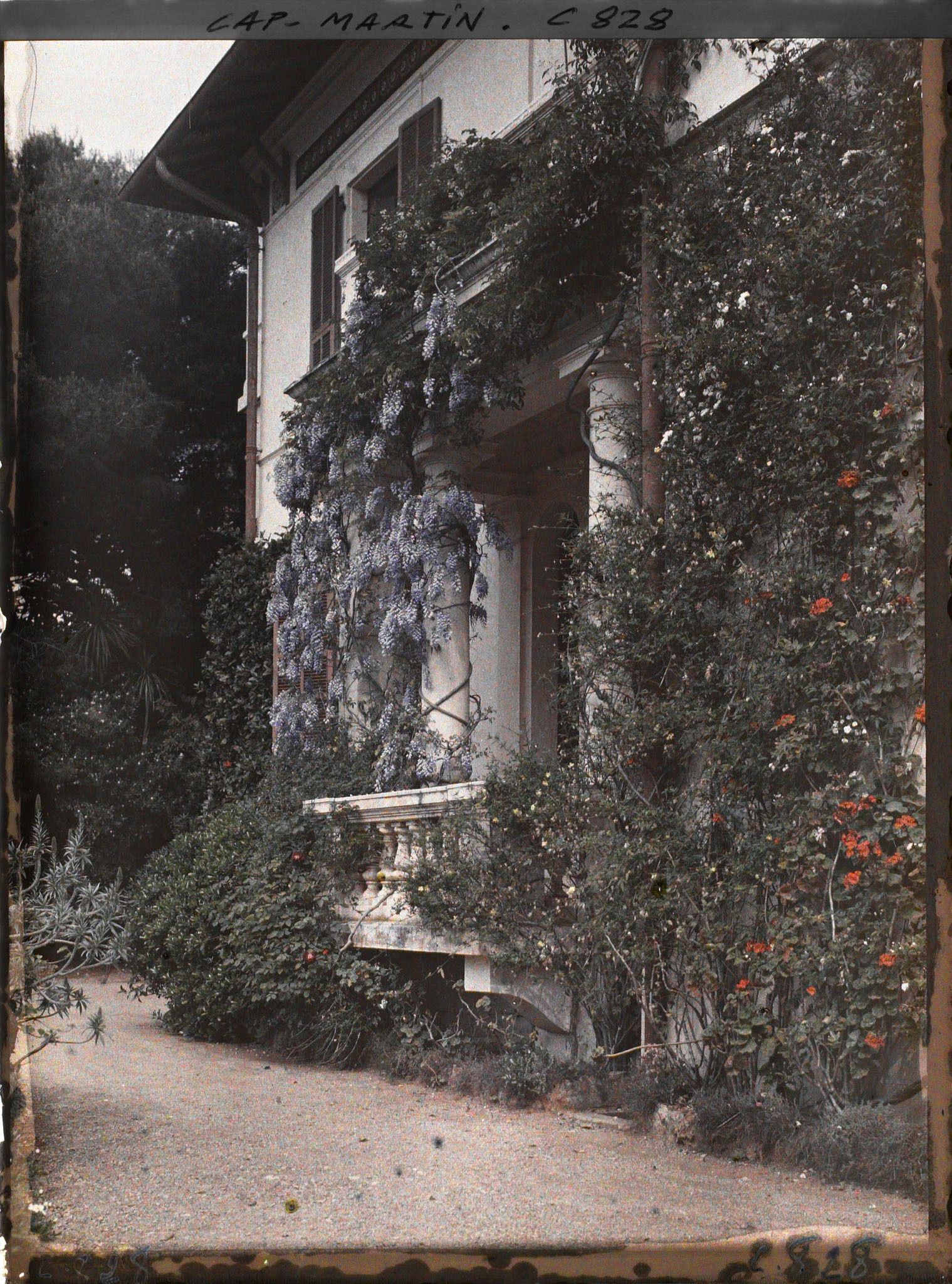 Image représentant Entrée de la villa Miramar, appartenant à Albert Kahn