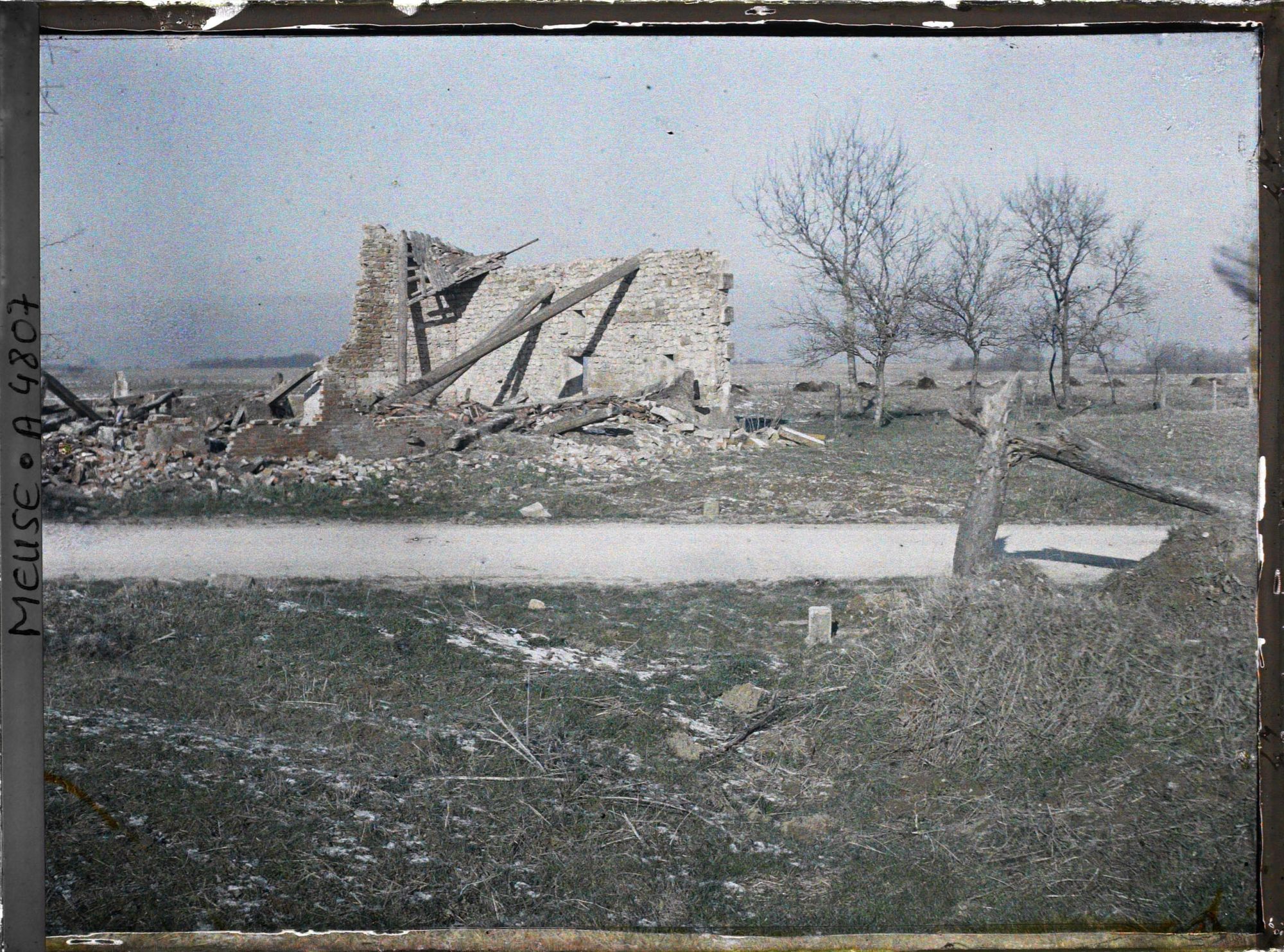 Image représentant Maison en ruines et arbre coupé