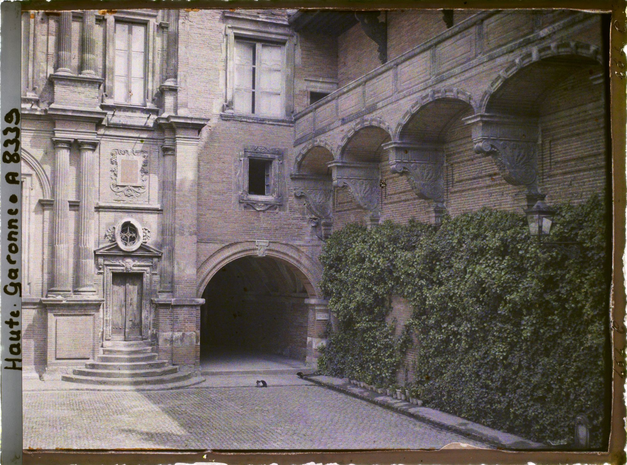 Image représentant L'hôtel Assézat, actuelle Fondation Bemberg