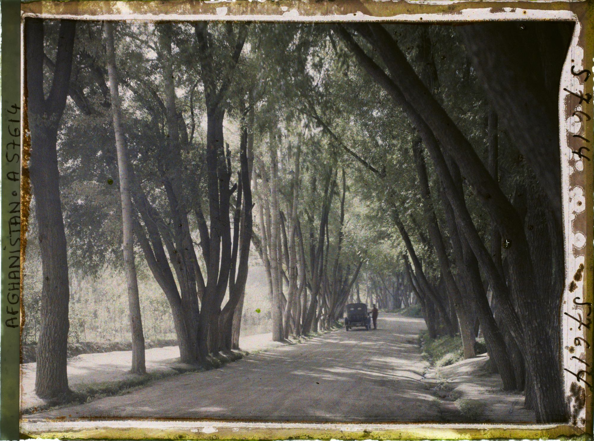 Image représentant Une allée du village