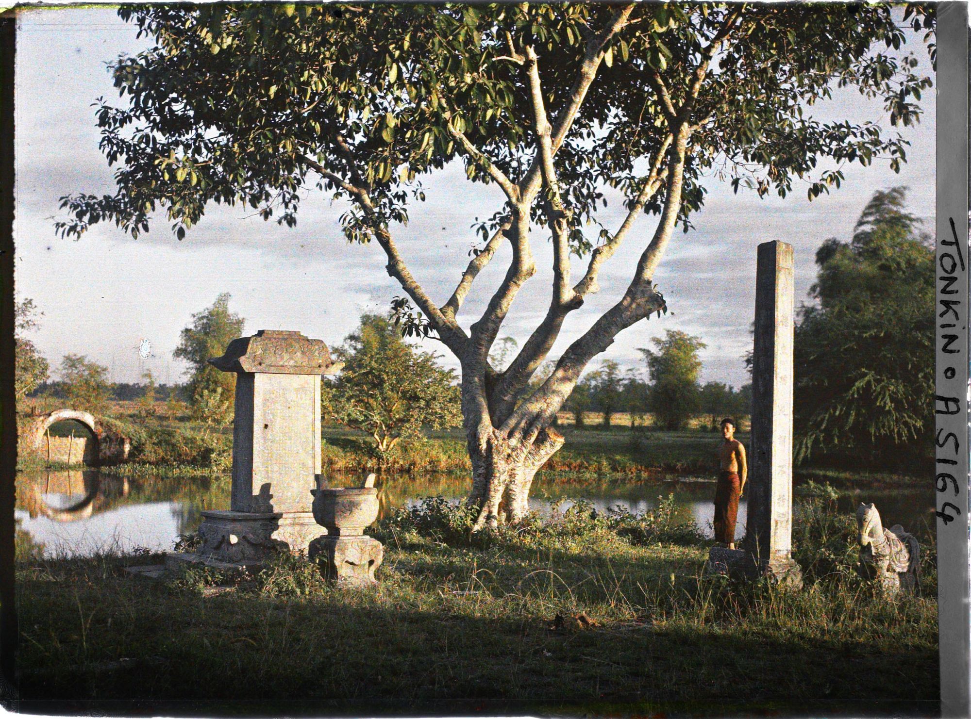 Image représentant Stèles et statues de pierre conduisant à la sépulture mandarinale au soleil couchant