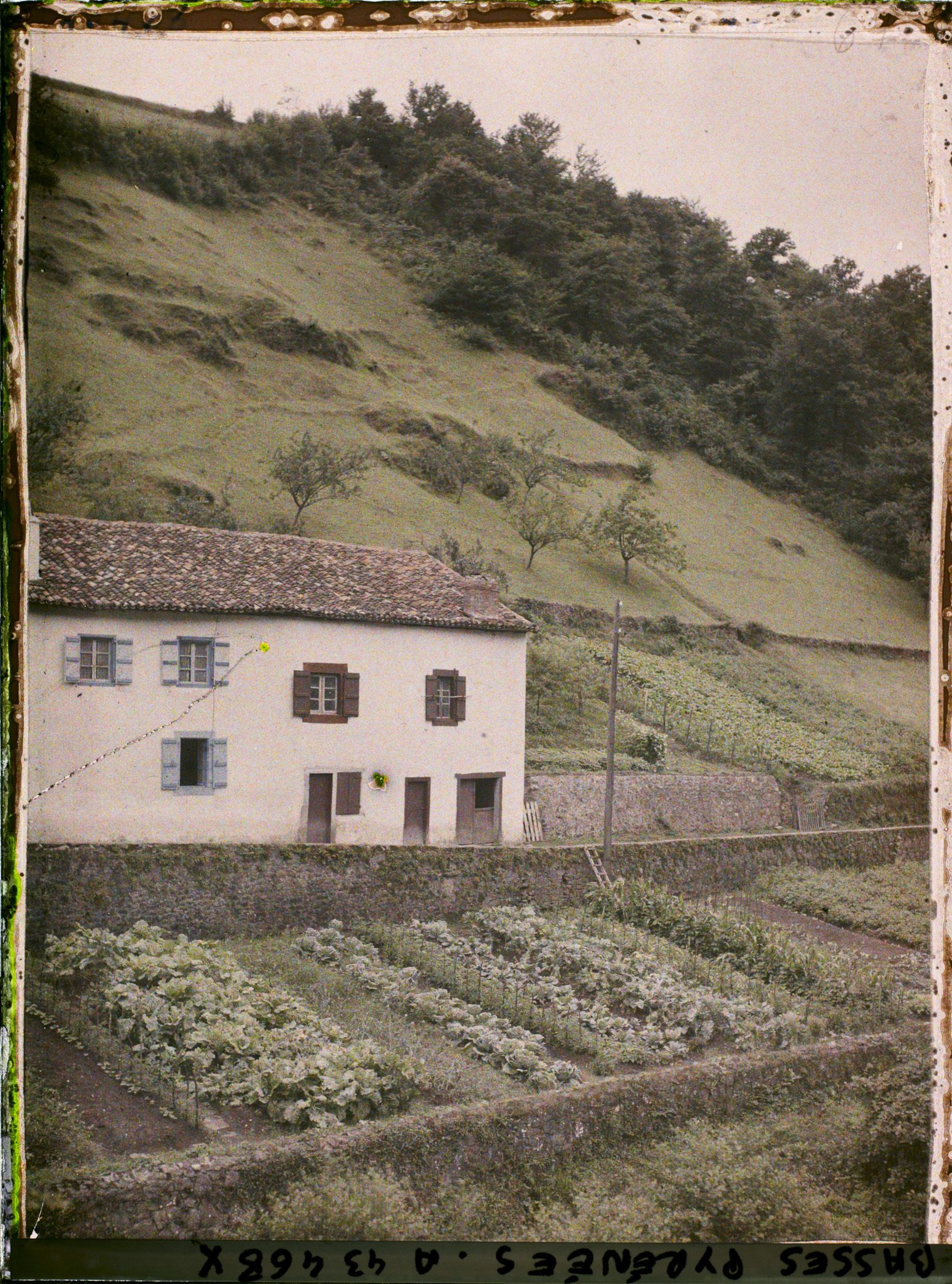 Image représentant France, Bidarray, Ferme et Cultures