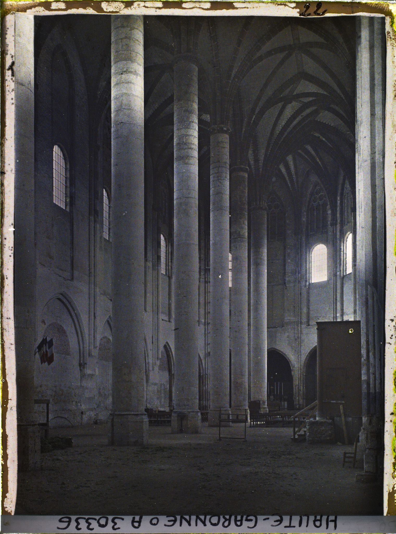 Image représentant Les piliers et le palmier de l'église des Jacobins