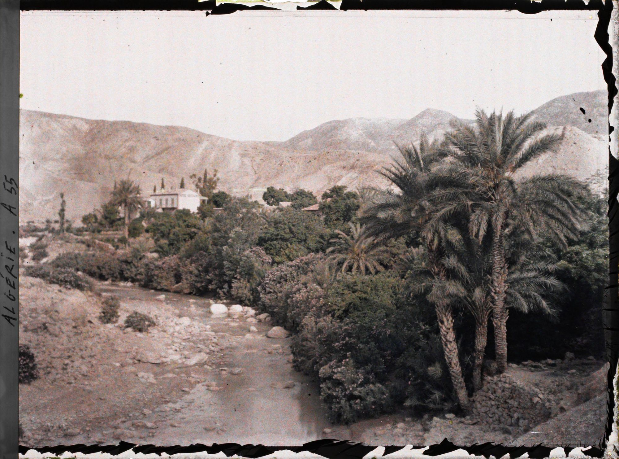 Image représentant Vue de la palmeraie au bord de l'oued El Haï