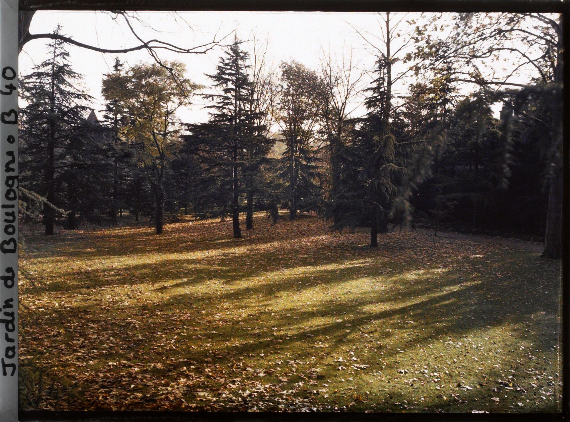 Image représentant La Grande Pelouse, vue en direction du verger-roseraie