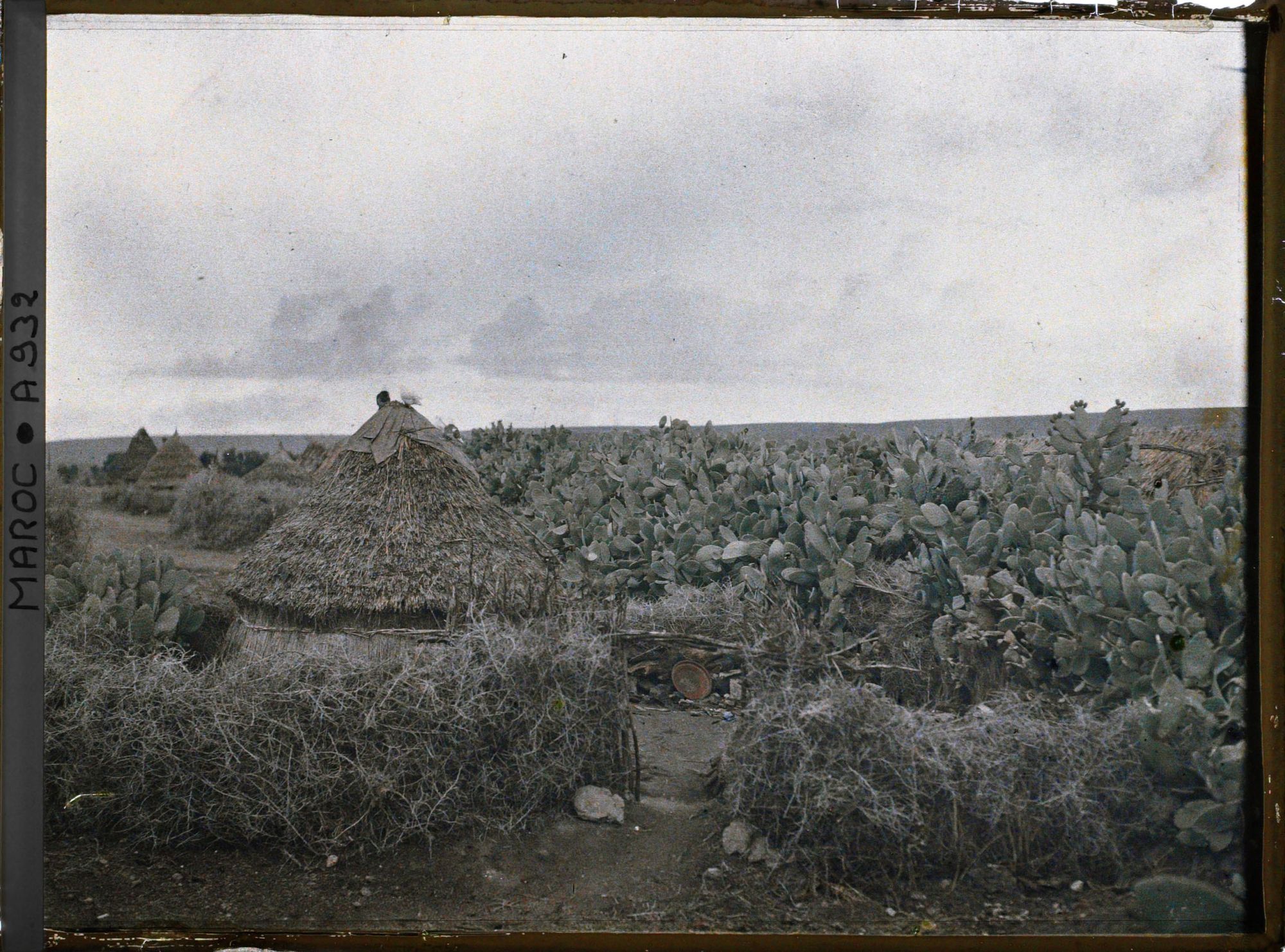 Image représentant Un douar du nouaïl