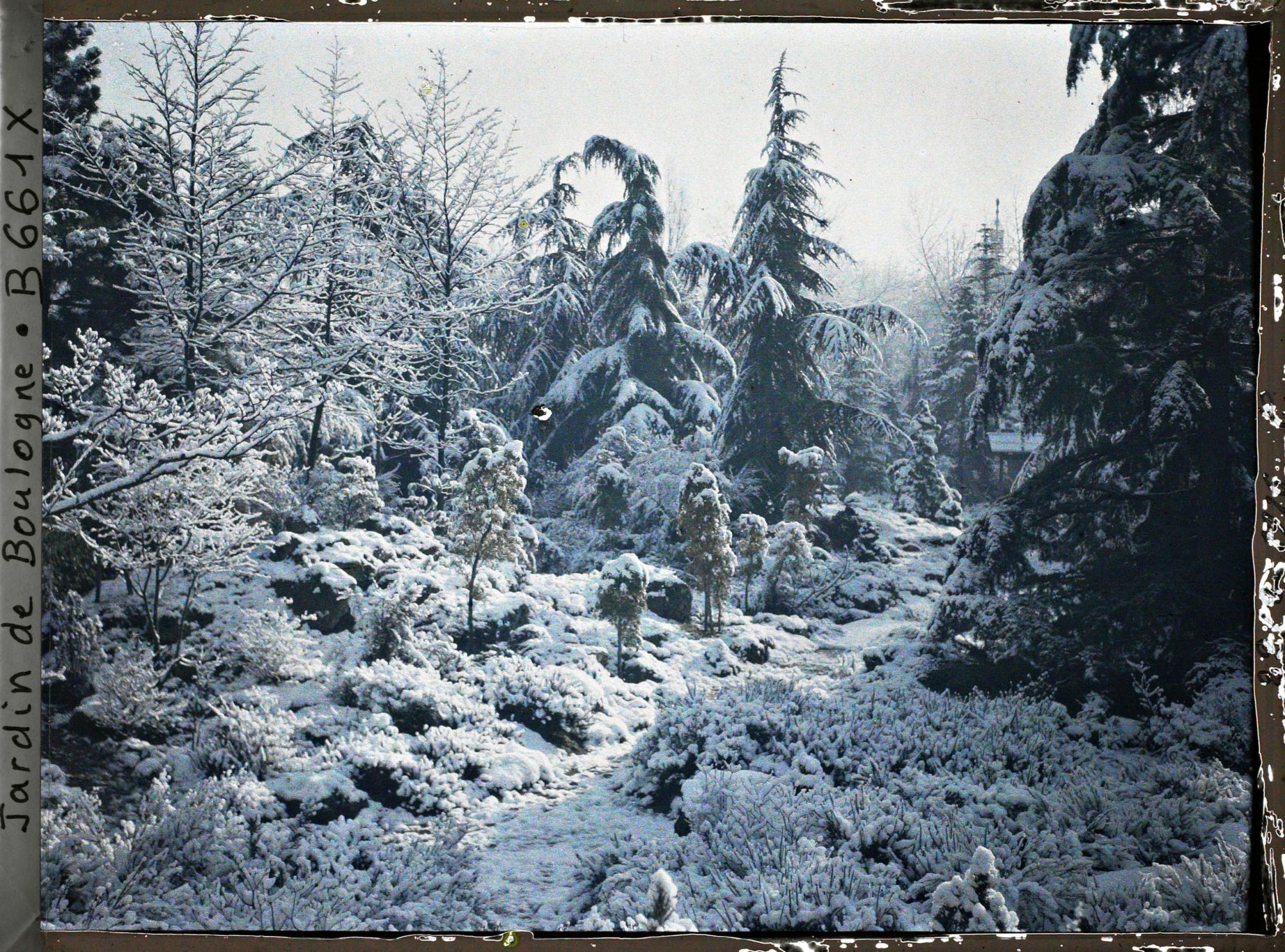 Image représentant Espace arboré du " sanctuaire japonais " sous la neige avec une allée menant au " village japonais "