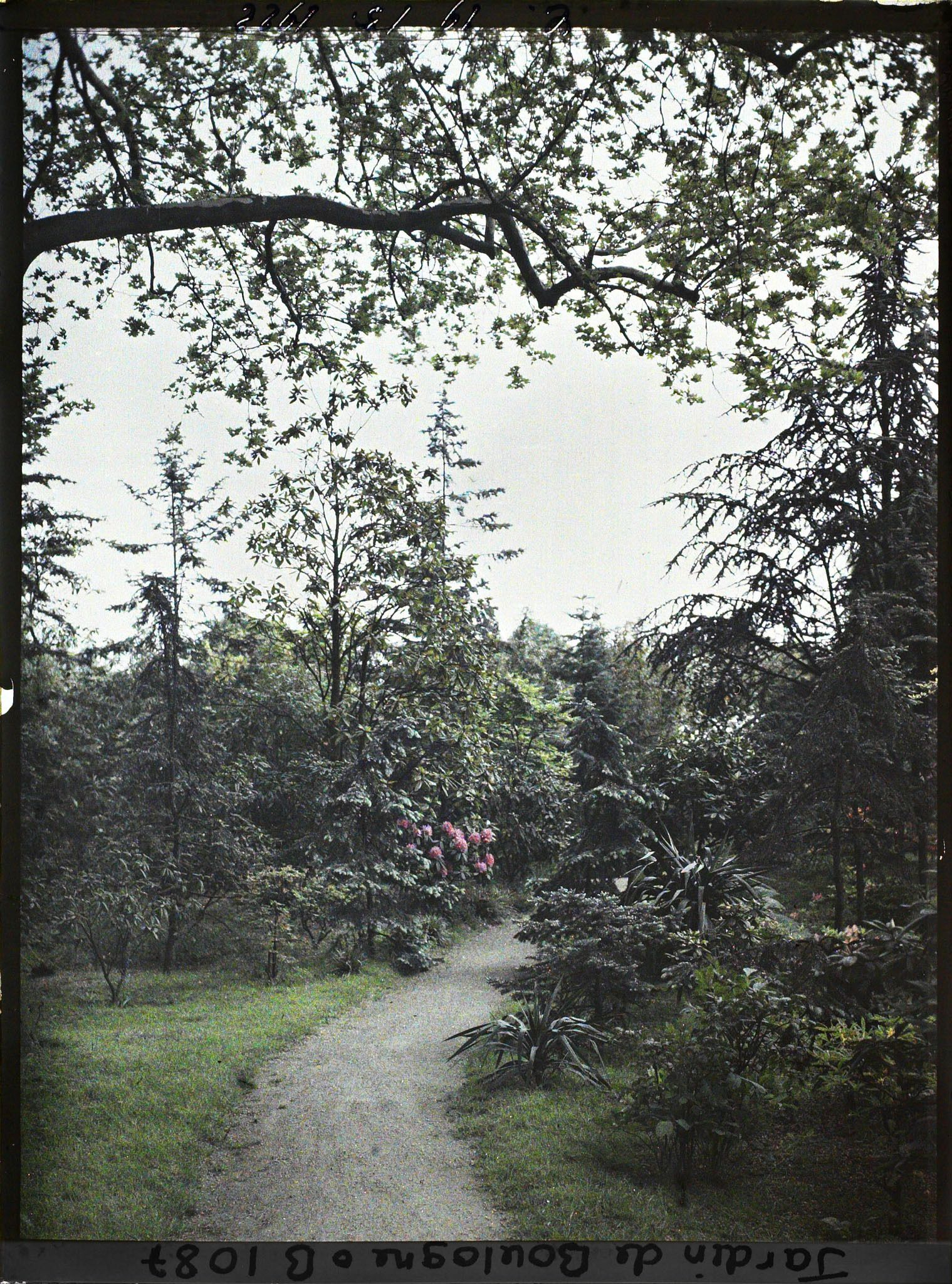 Image représentant Chemin menant vers le marais