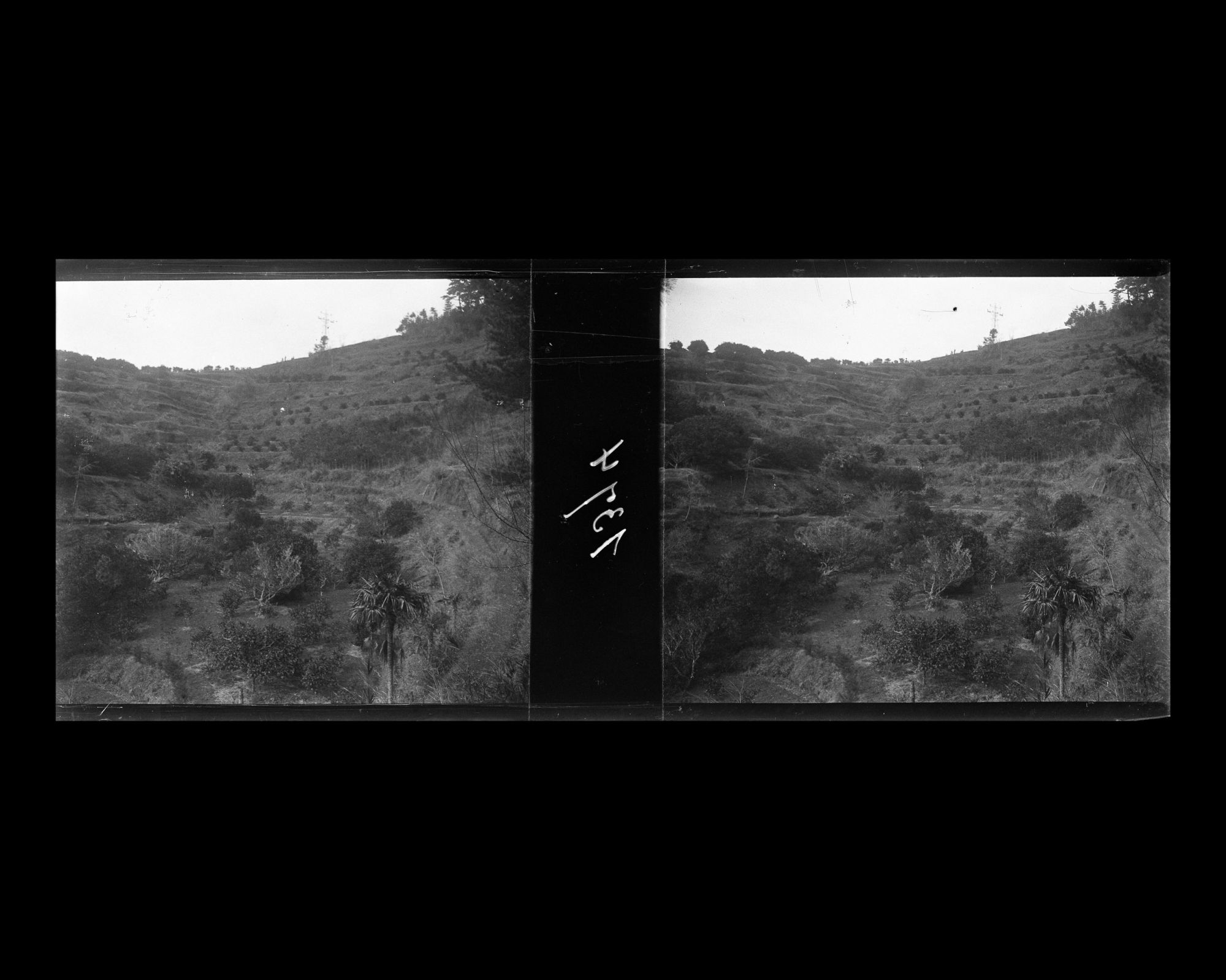 Image représentant Le domaine campagnard du comte Shigenobu Okuma