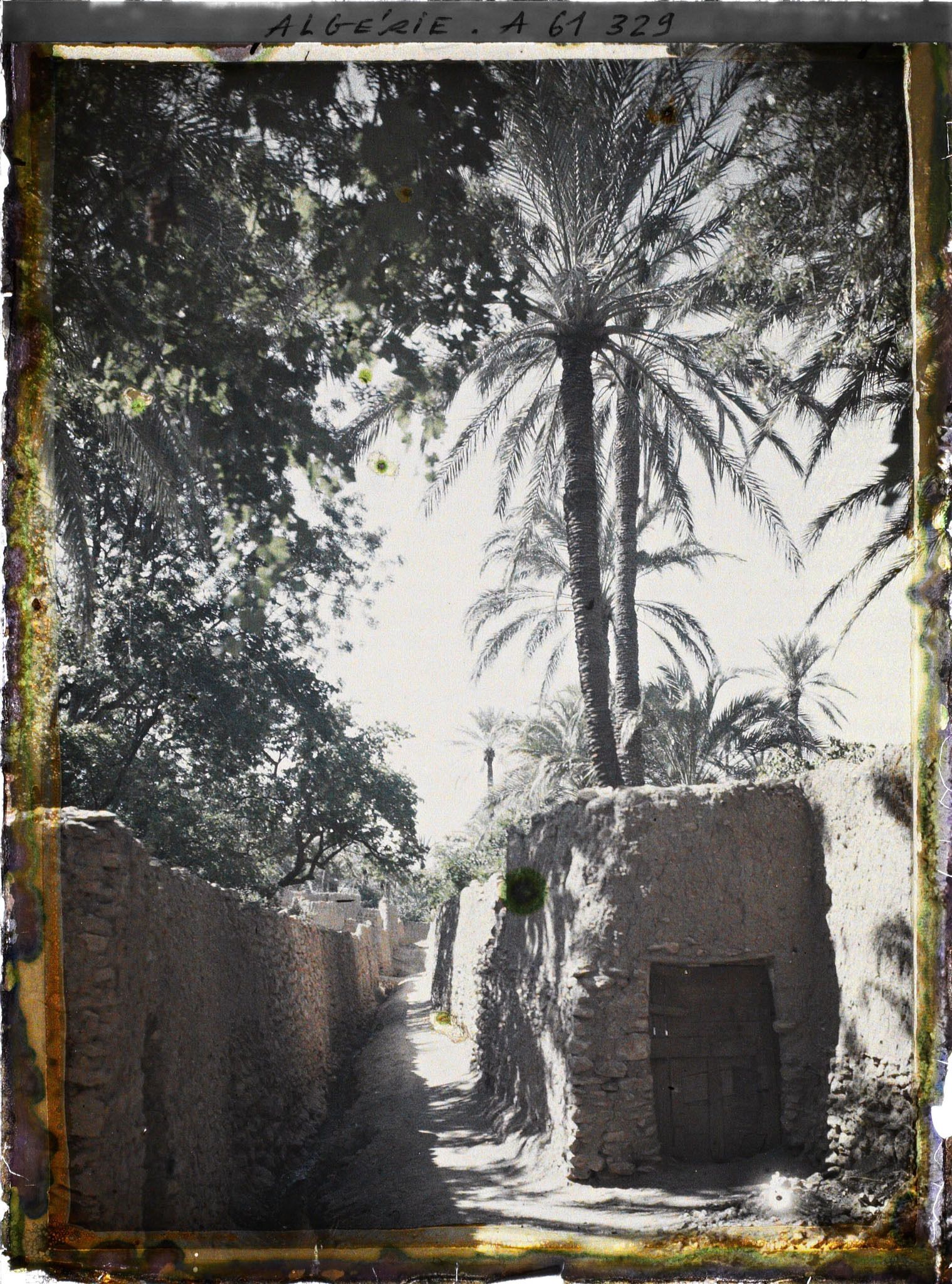 Image représentant Jardins enclos de l'oasis