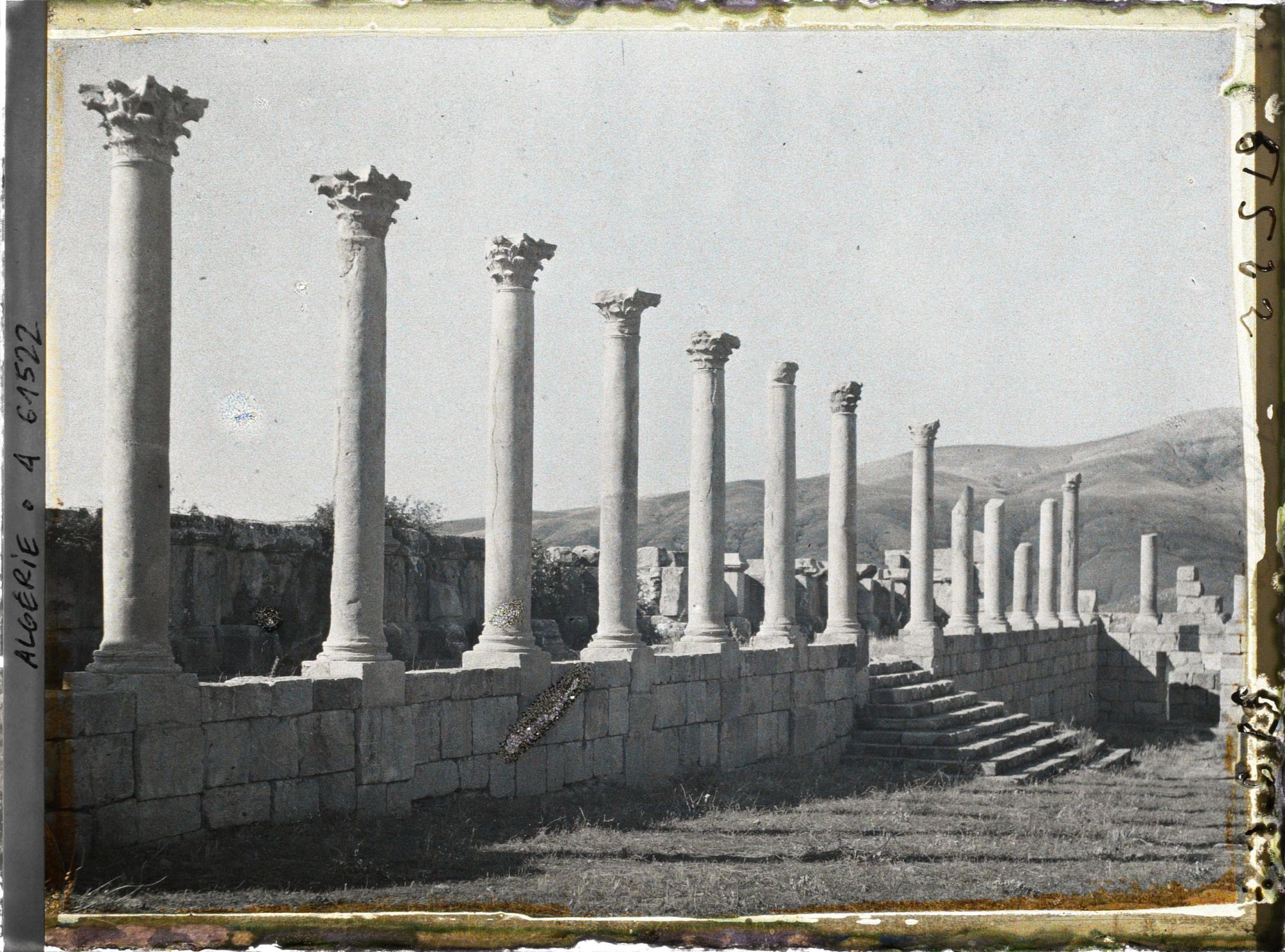 Image représentant Colonnades du Forum, vestiges de de la cité antique Cuicul