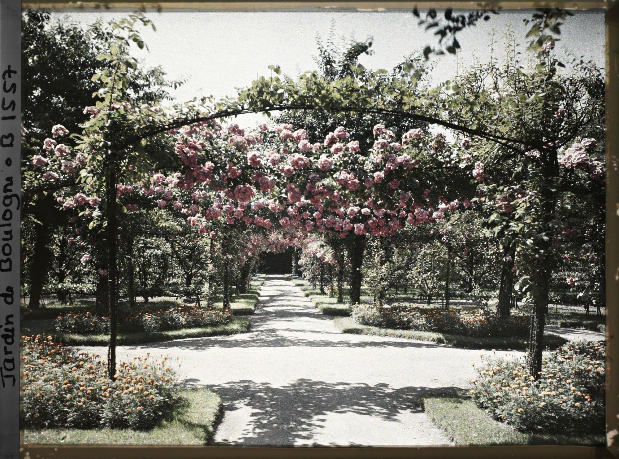 Image représentant Axe central du verger-roseraie vu vers la dépendance, à l'approche du rond-point côté jardin français