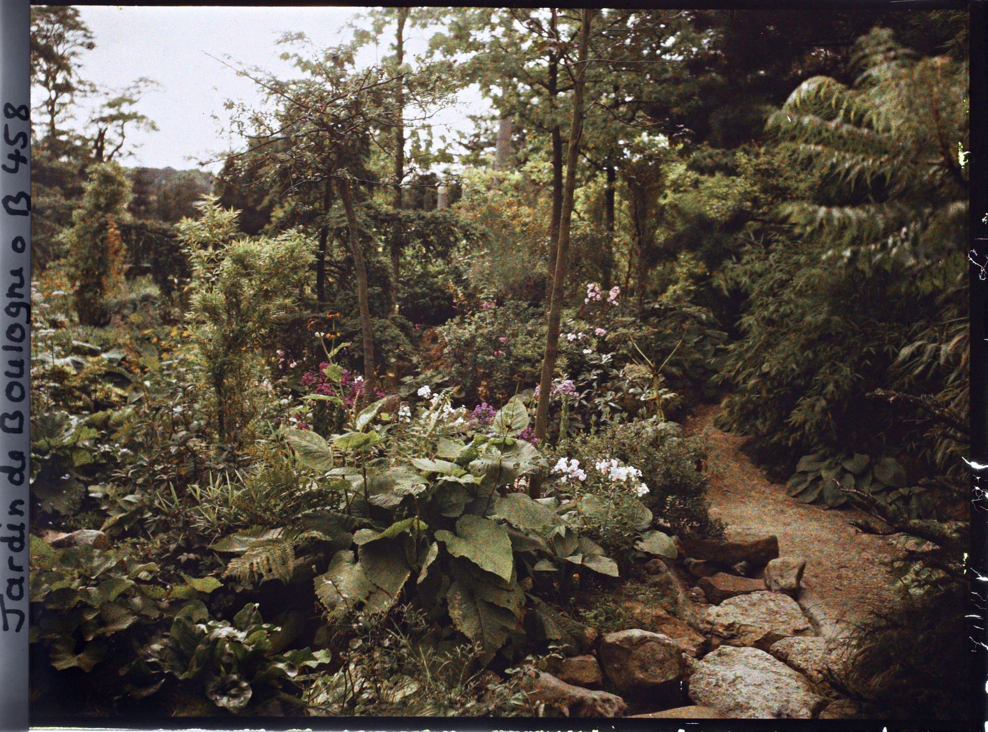 Image représentant Étroit chemin menant au sôrintô, longeant une coulée de verdure du " sanctuaire japonais "