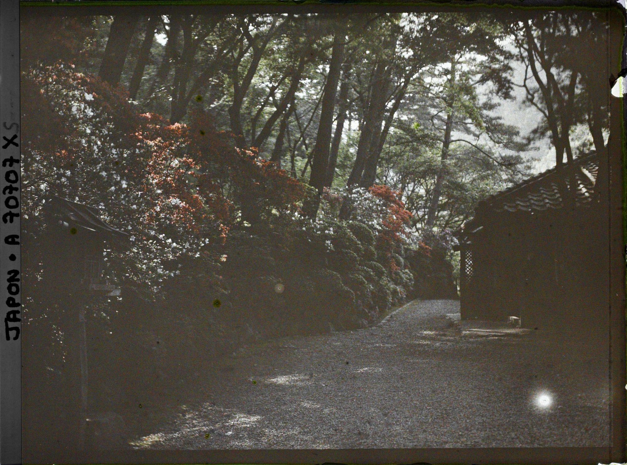 Image représentant paysage Arashiyama