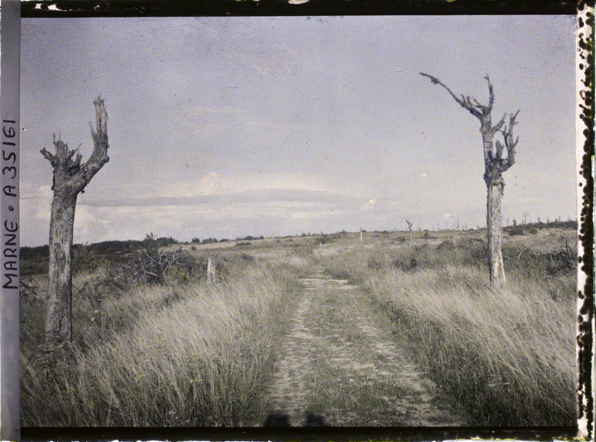 Image représentant France, Vienne le Château , Aspect de la route de Servon vers le bois de la Gruerie et terrain de combat