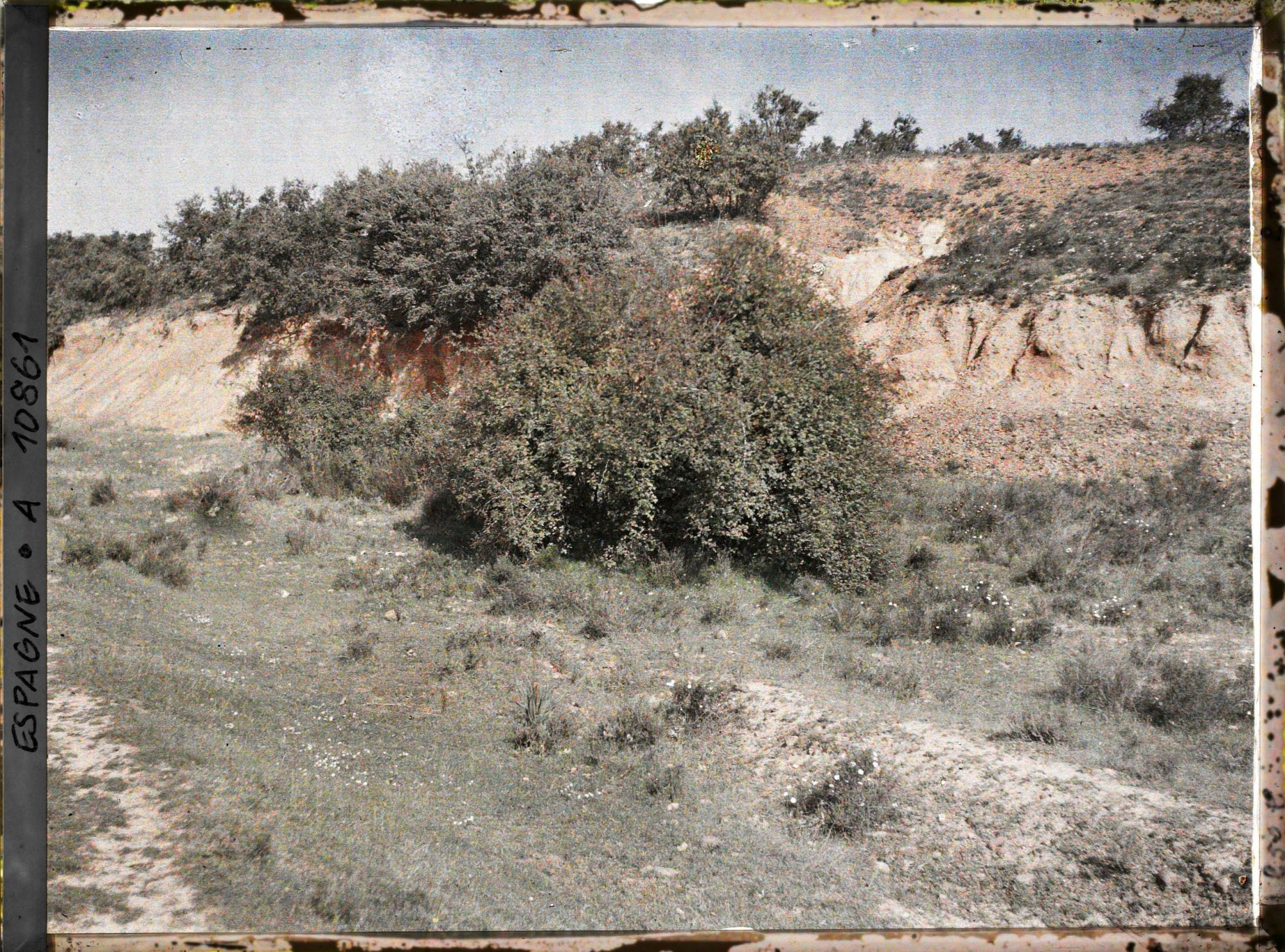 Image représentant Espagne, d'Astorga à Léon, Steppe de Vieille Castille avec, au dernier plan, oliviers sauvages.