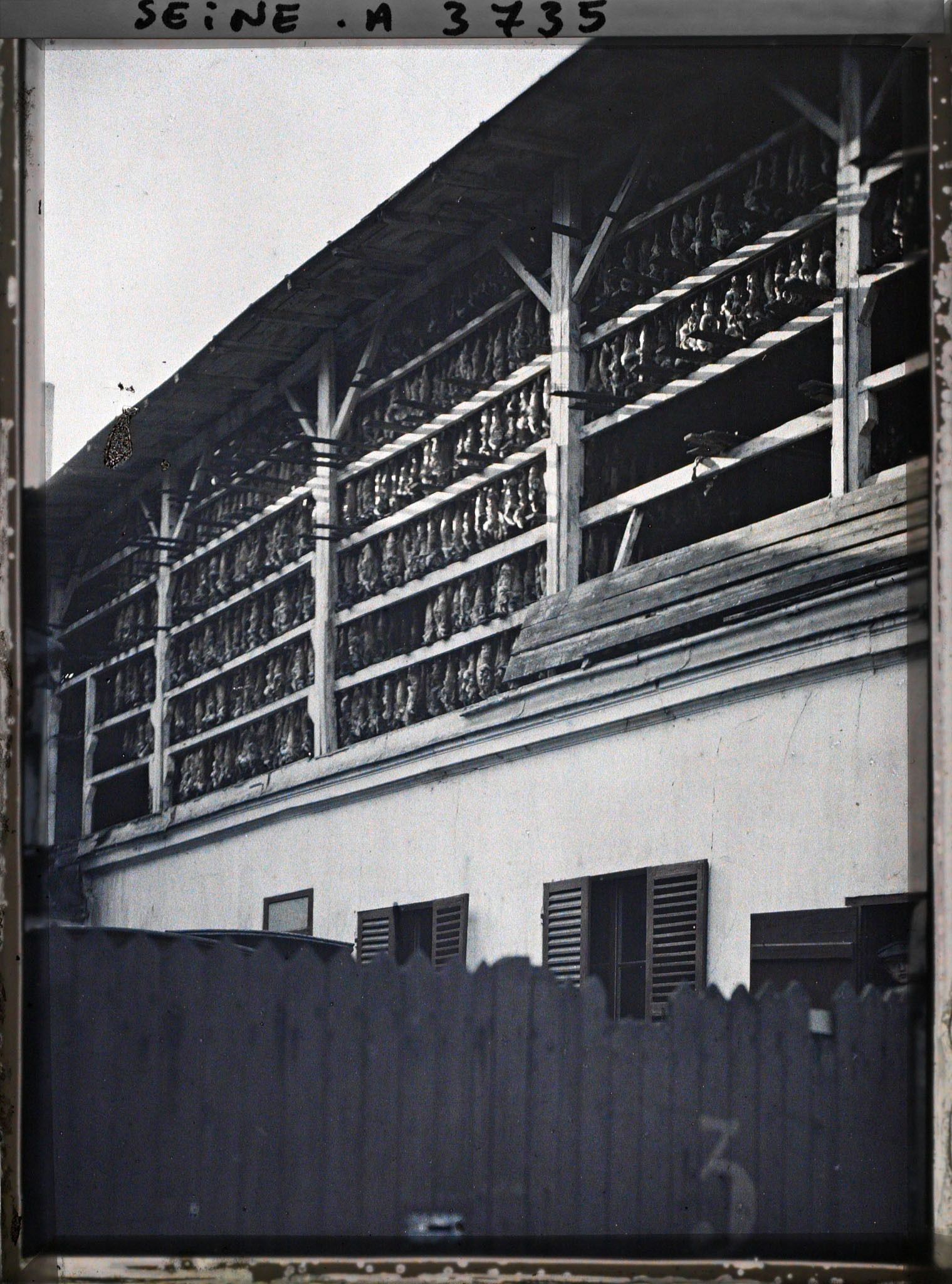 Image représentant Peaux de lapins suspendues passage Moret, actuelle rue Emile-Deslandres