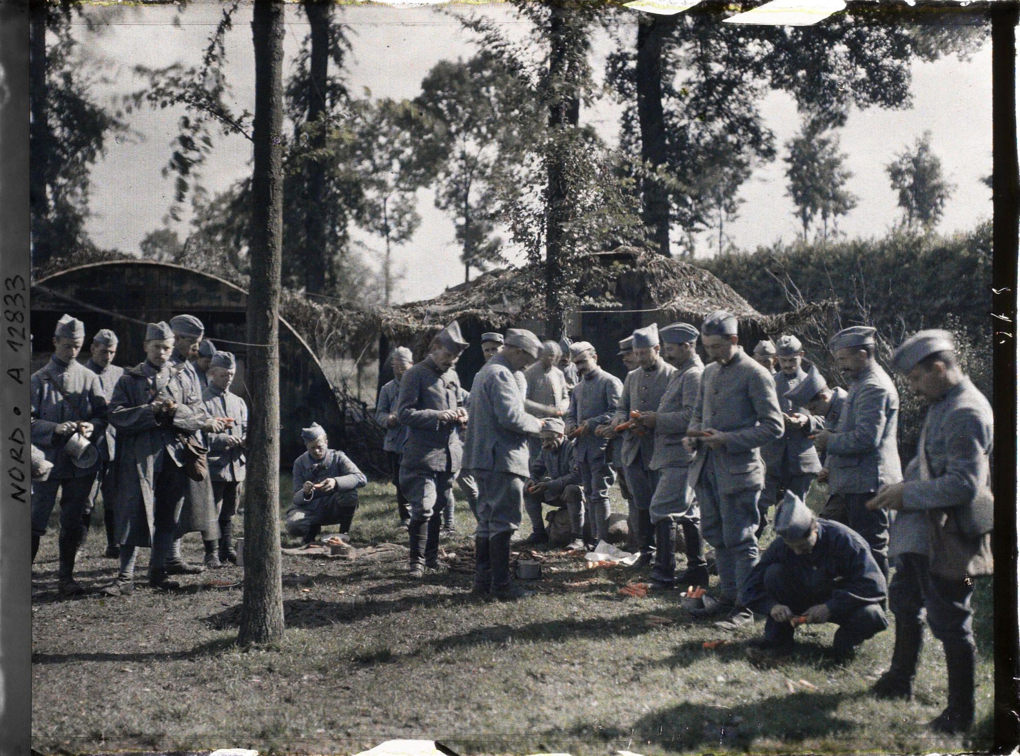 Image représentant 2e régiment de la 1ère armée, corvée de carottes
