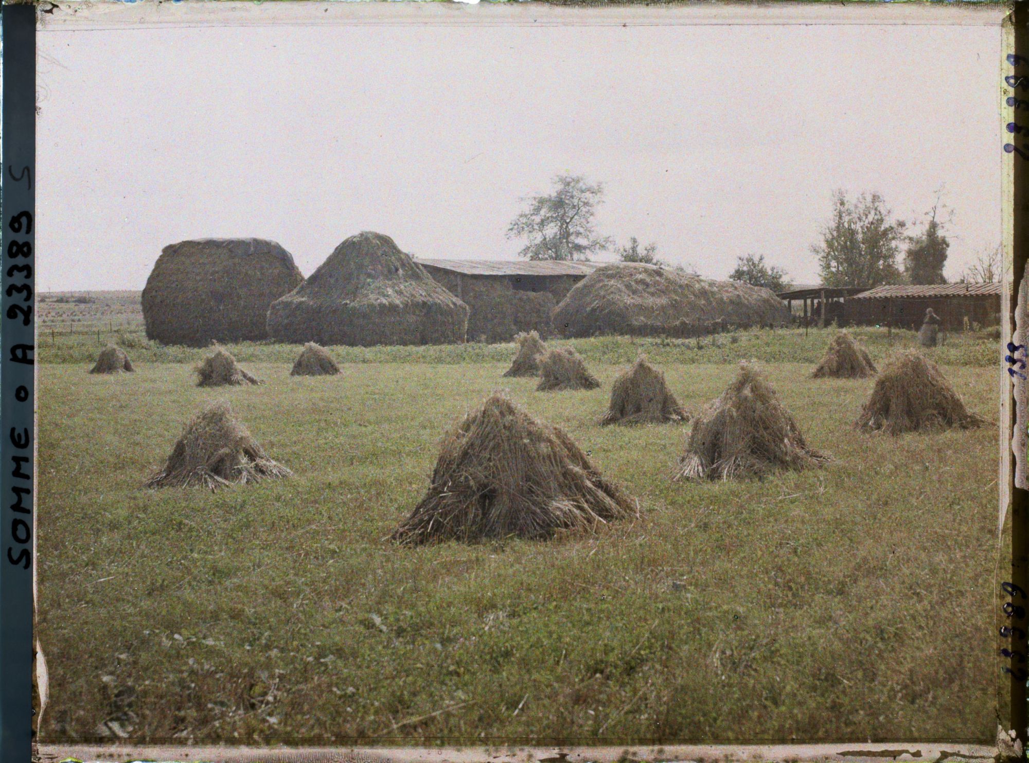 Image représentant France, Barleux, Meules de blé et Champ d'avoine