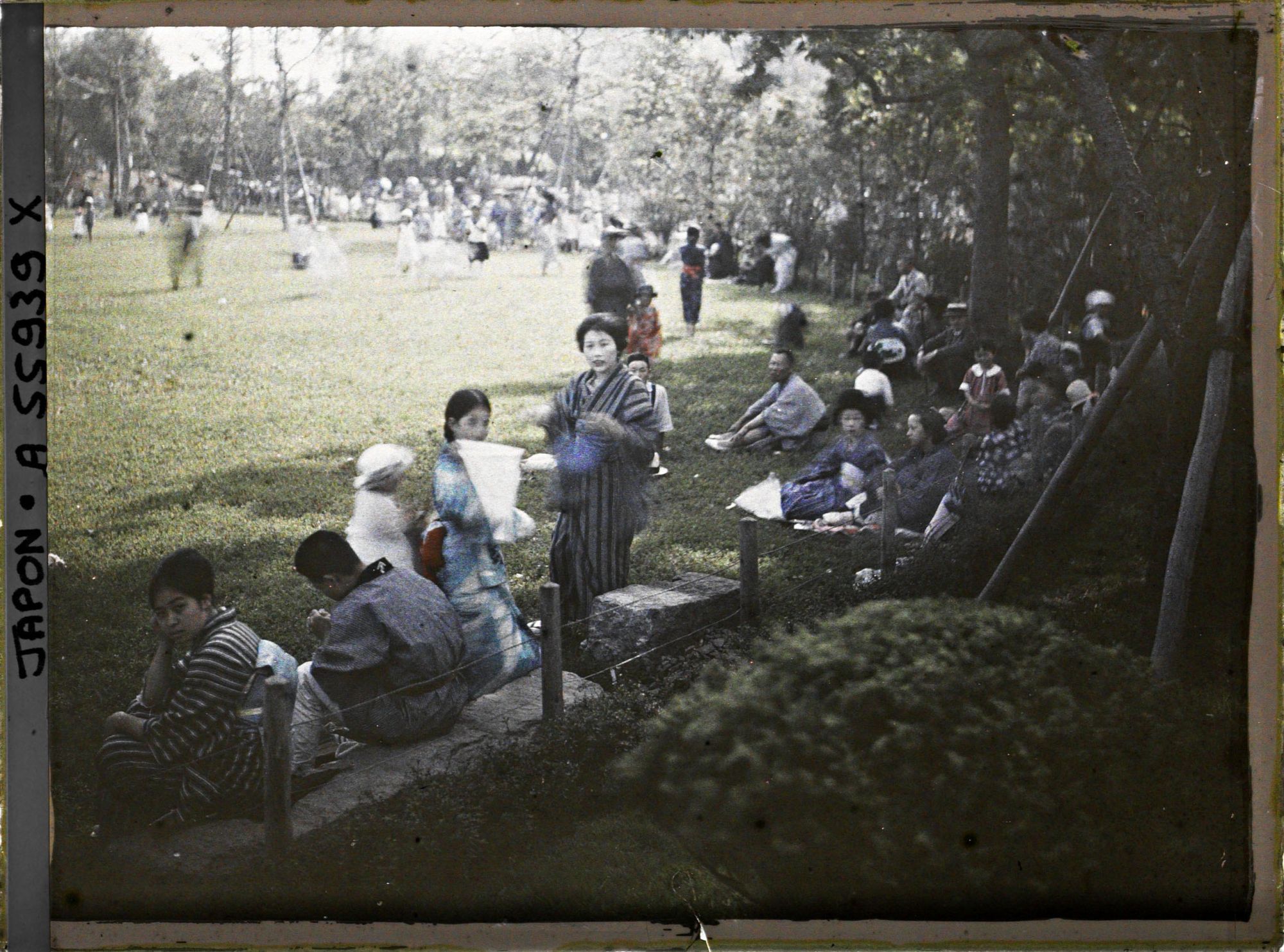 Image représentant Adultes et enfants sur une pelouse, dans le parc d'Hibiya