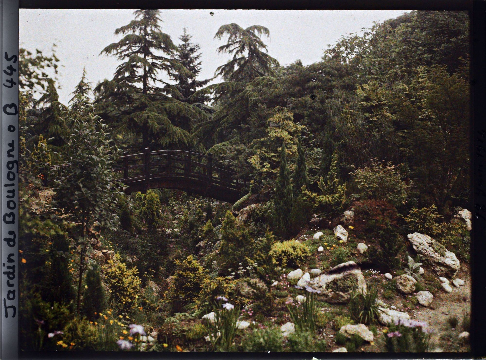 Image représentant Pont du " sanctuaire japonais " dans son environnement arboré