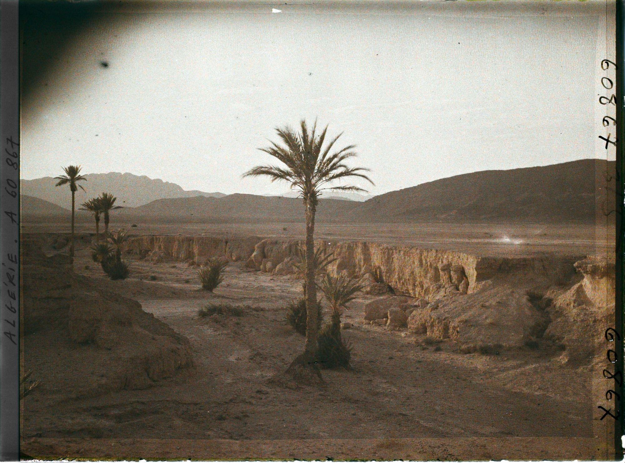 Image représentant Vue du lit de l'oued asséché