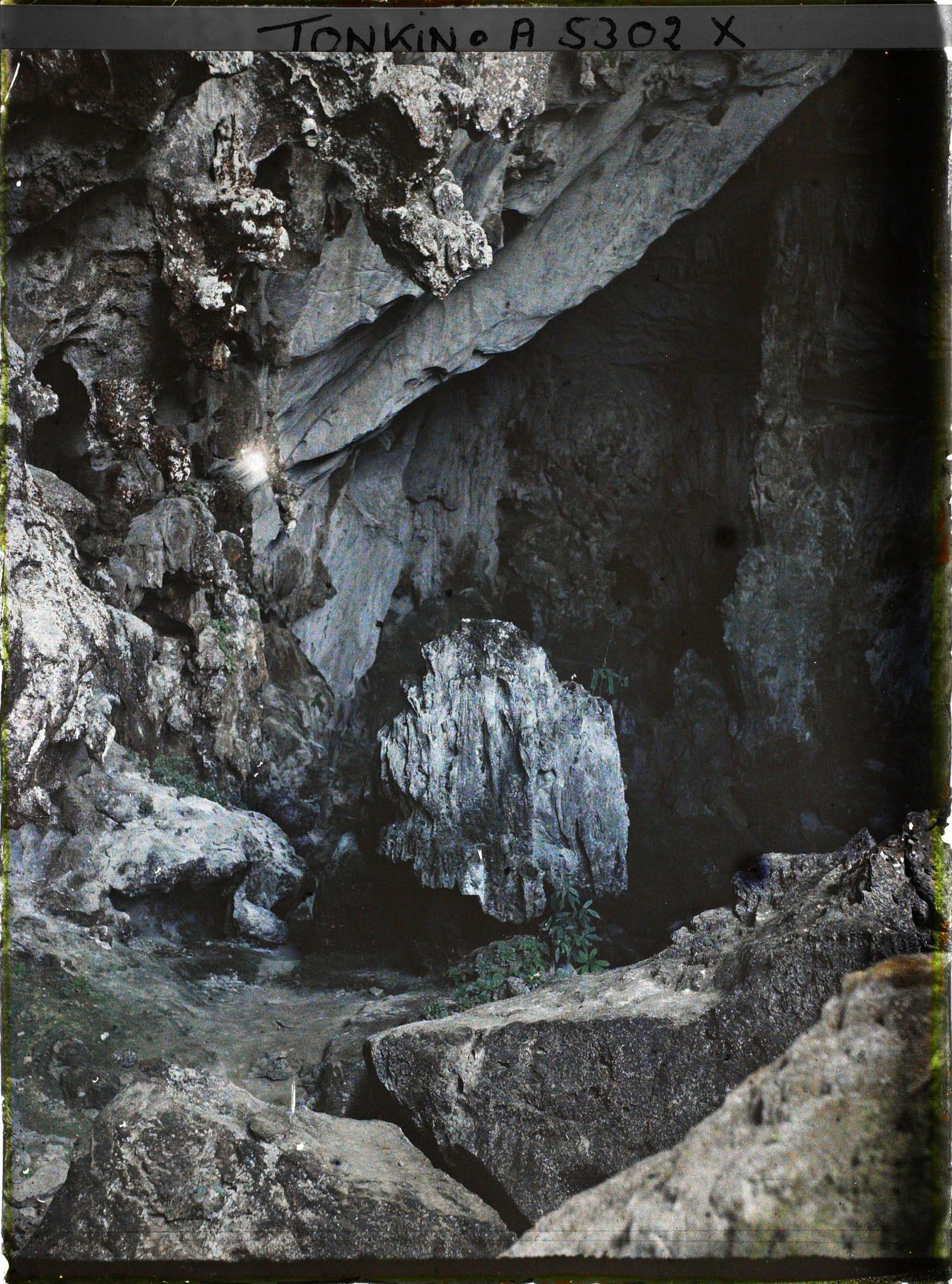 Image représentant L'intérieur de la " Grotte des Merveilles "