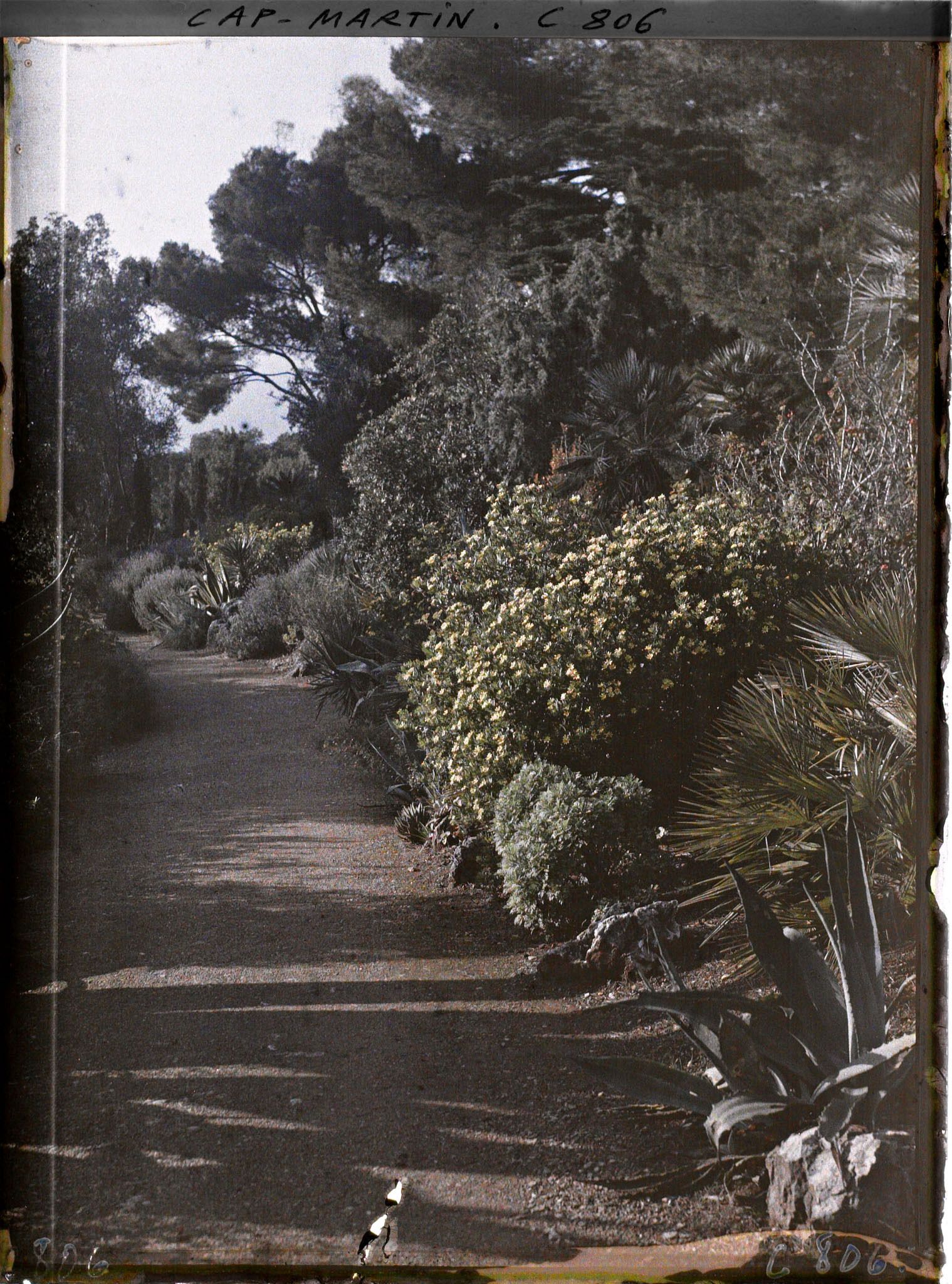 Image représentant Une allée dans le jardin