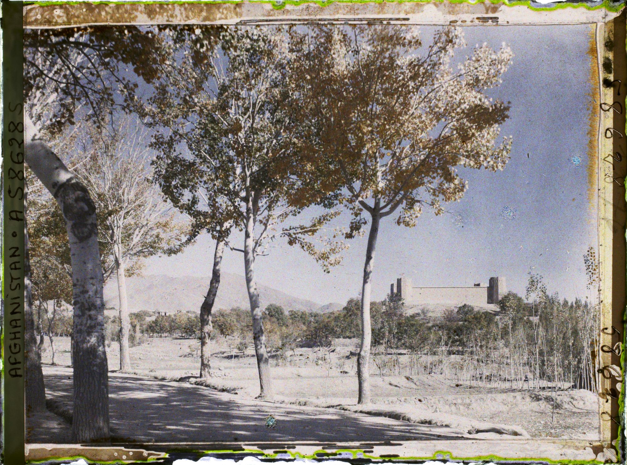 Image représentant IF958_A058628.jpg