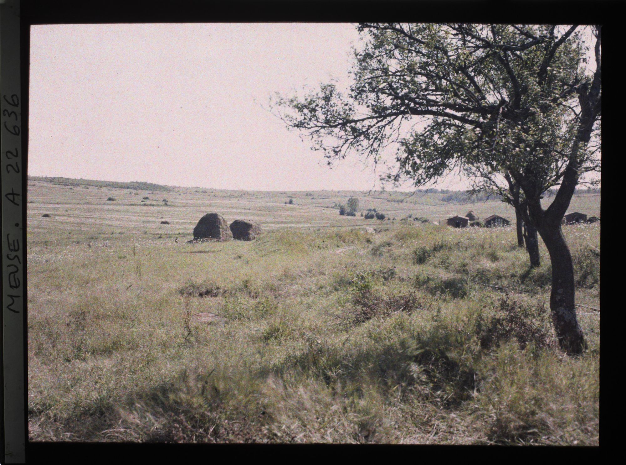 Image représentant France, Marre, Les pentes du Bois Bourru  Dans le fond, le bois Bourru