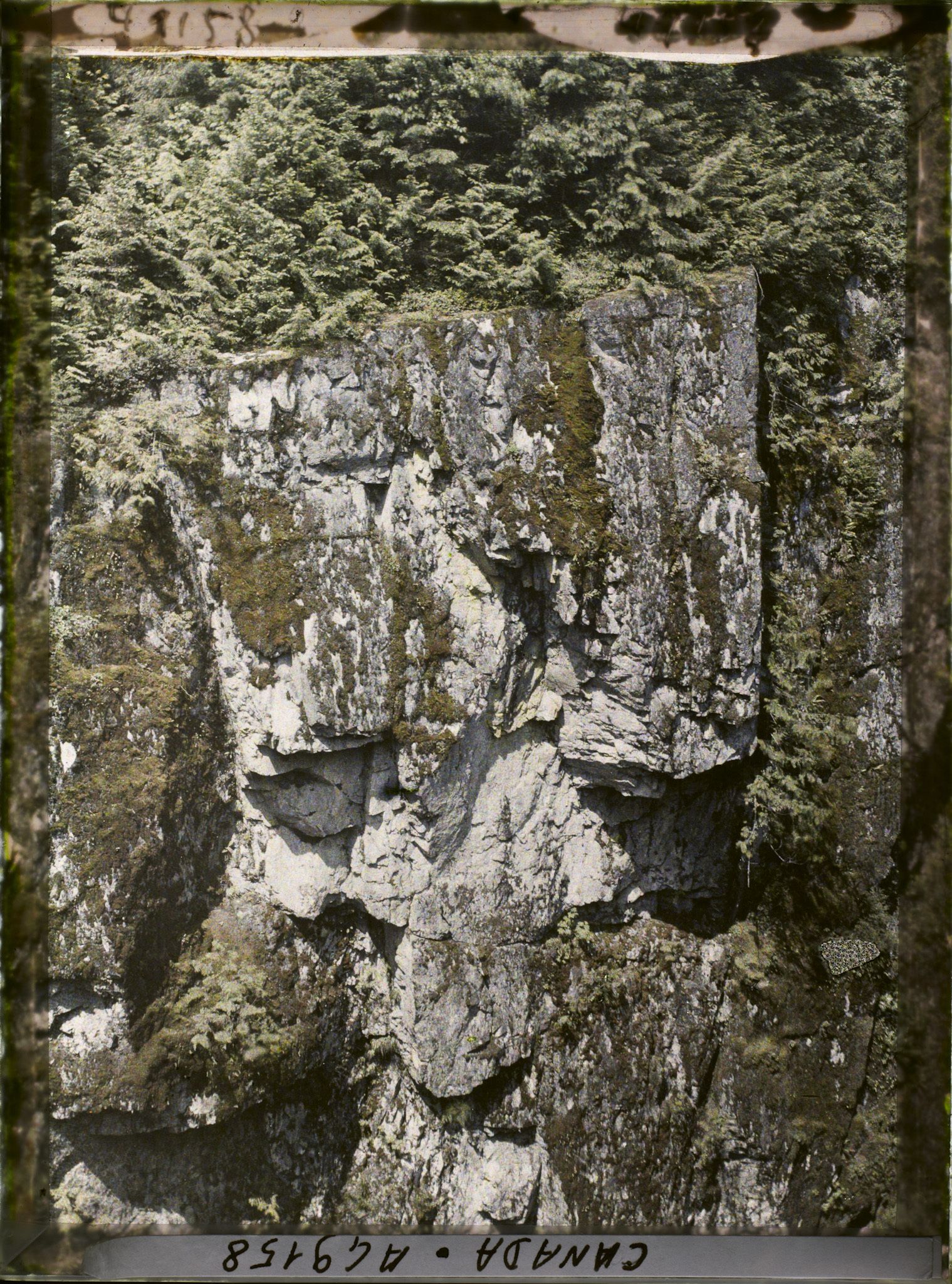Image représentant Canada, Vancouver, Capilane Canyon, Aspect des parois du Canyon (Granit)