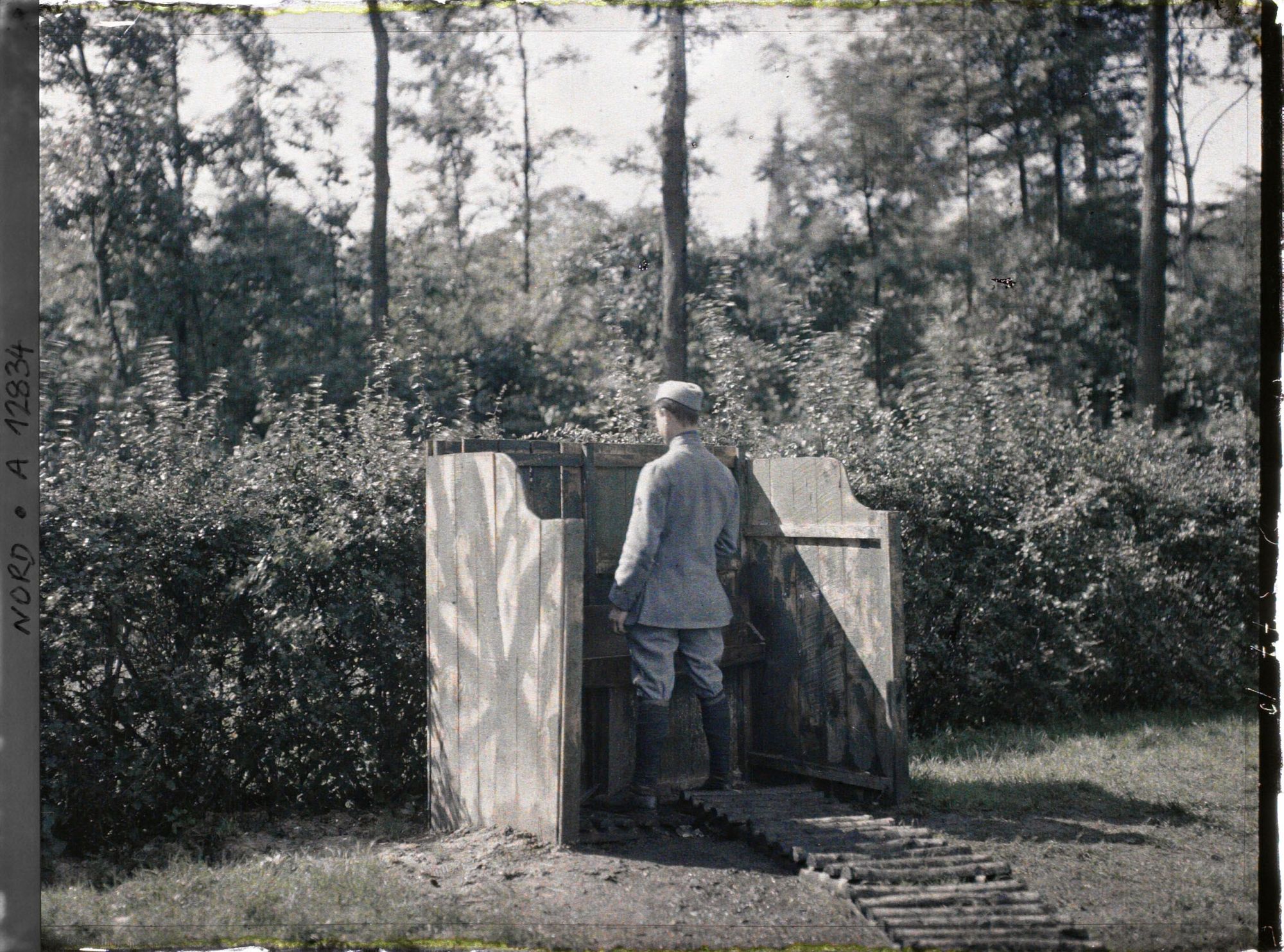 Image représentant Toilettes camouflées