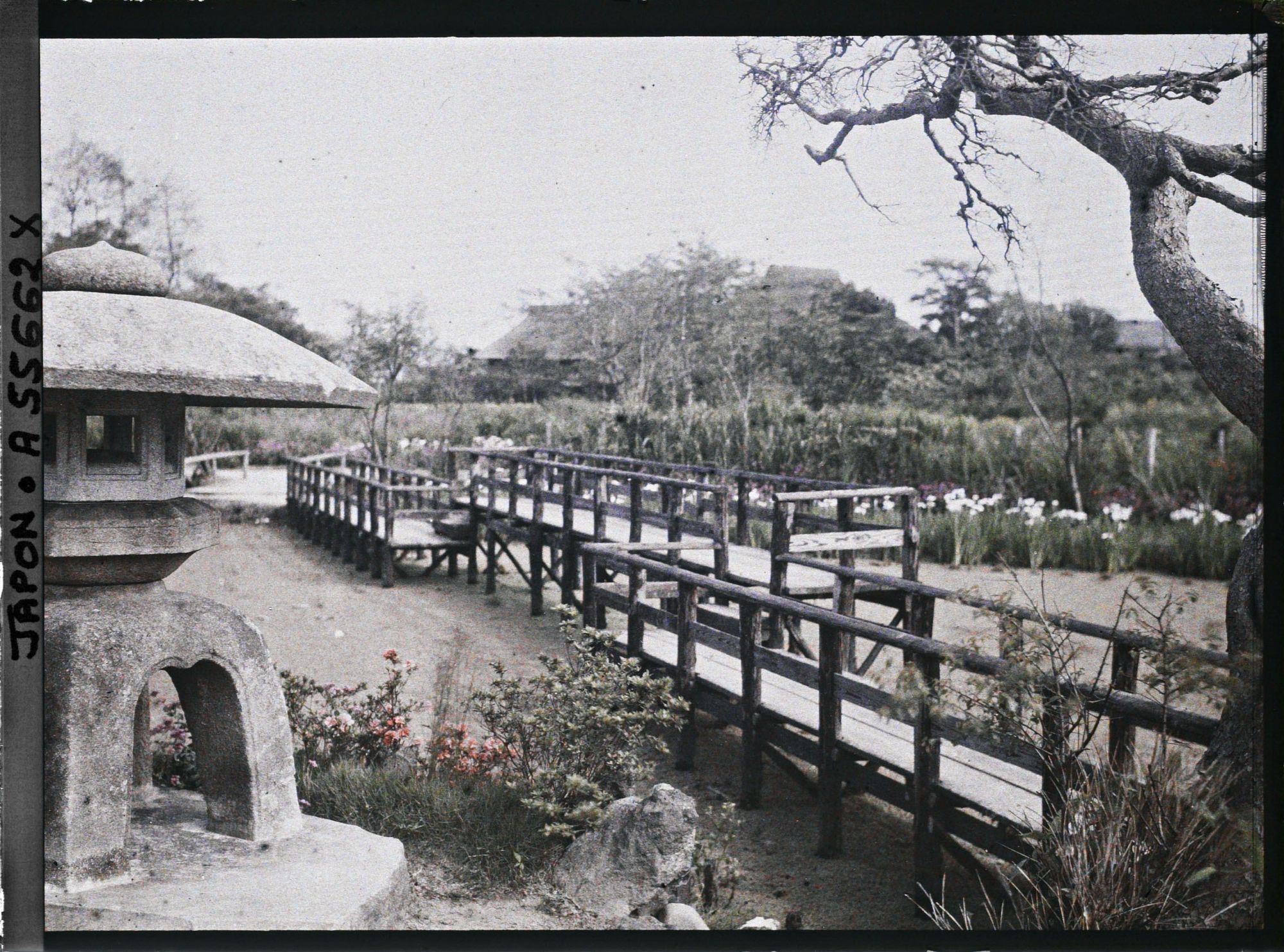 Image représentant Parc Horikiri-shobuen