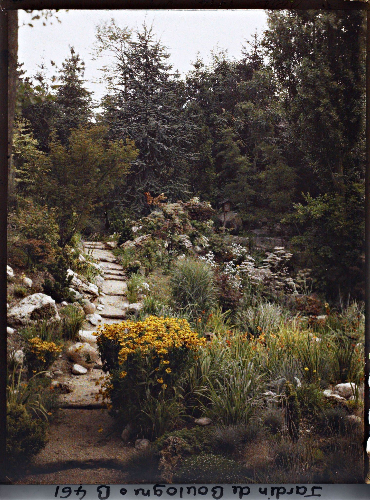 Image représentant Chemin escarpé longeant un vallon rocheux du " sanctuaire japonais "