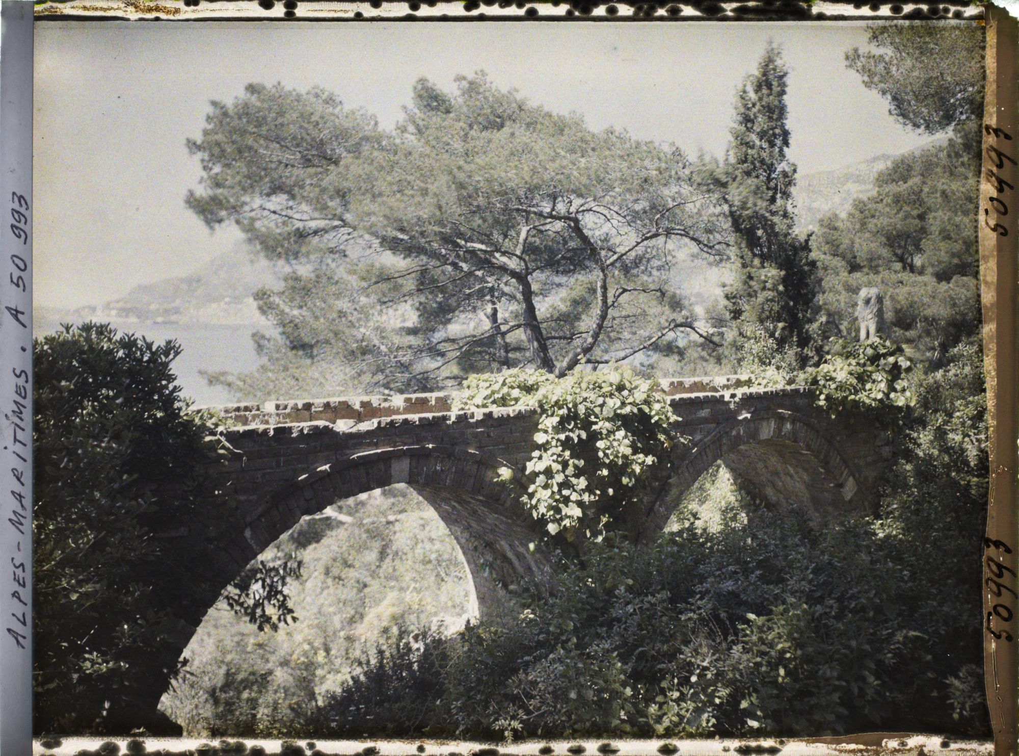 Image représentant Pont du jardin de la villa Cypris, vu en direction de Monaco