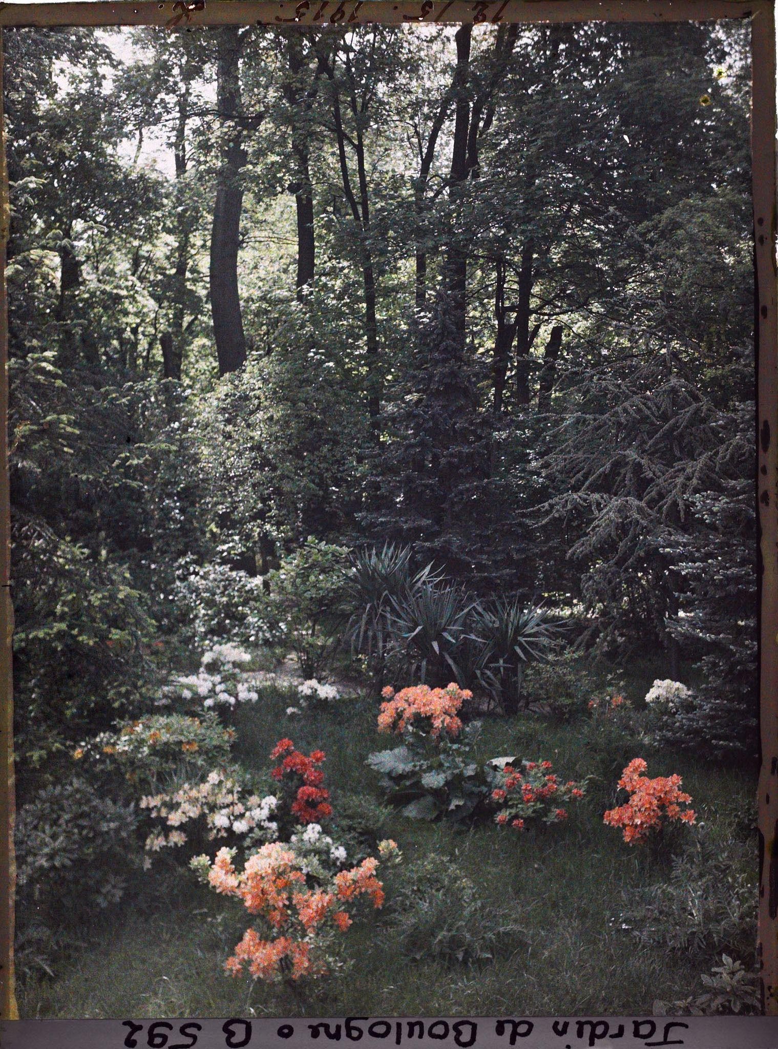 Image représentant jardins en bord du marais