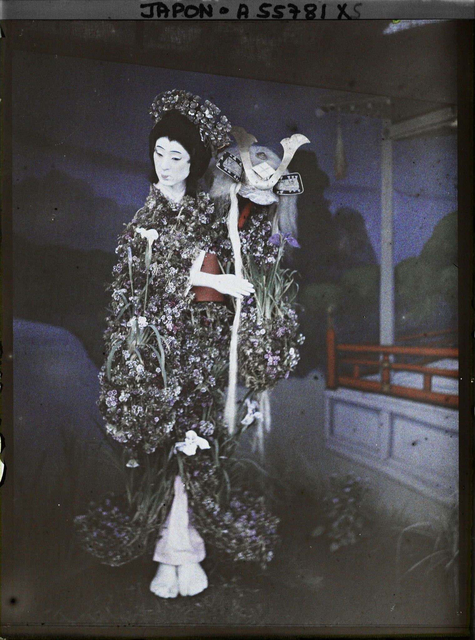 Image représentant jardin Horikiri : ningyô (poupée) exposée durant la floraison des iris