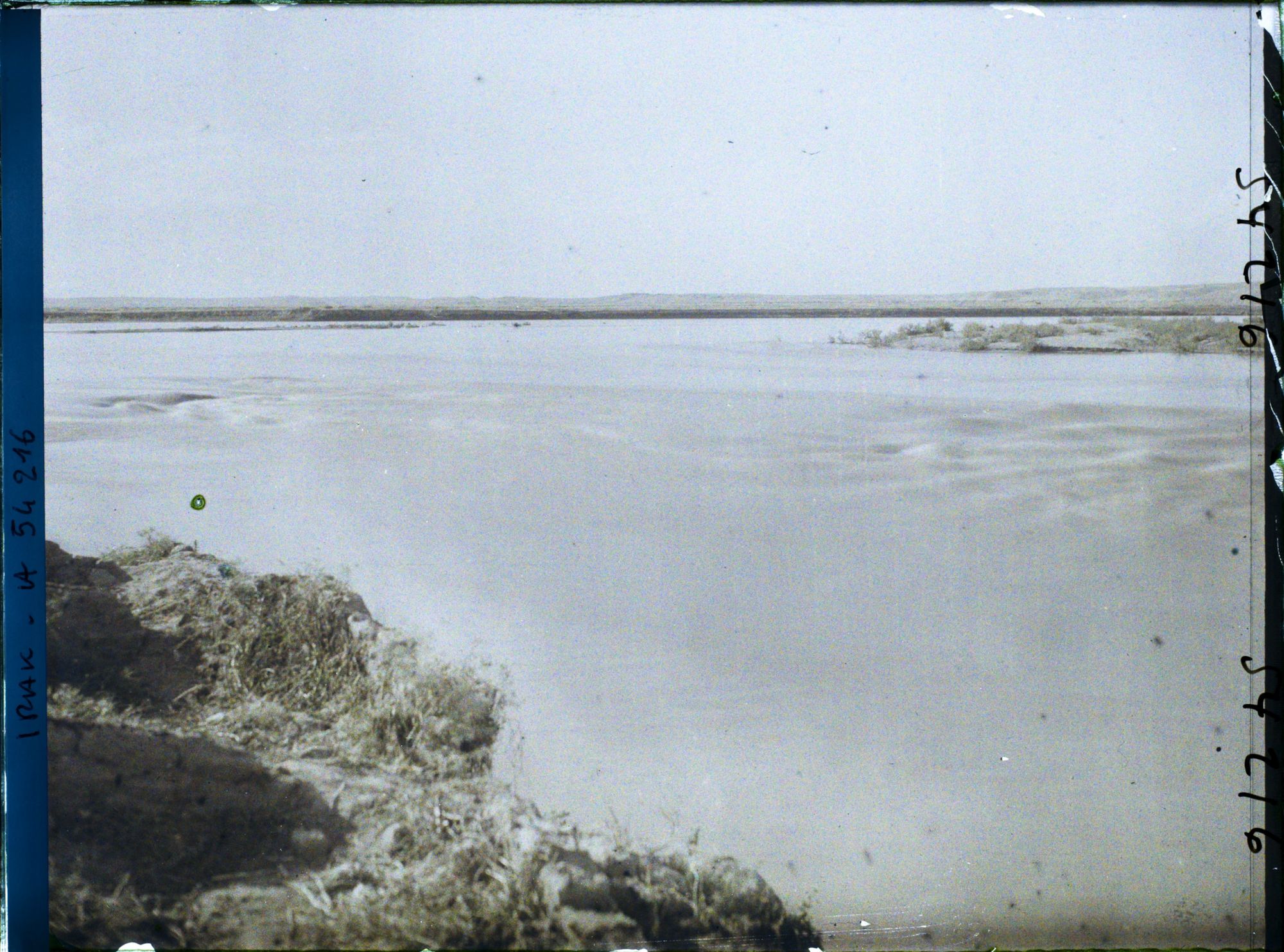 Image représentant Le Tigre