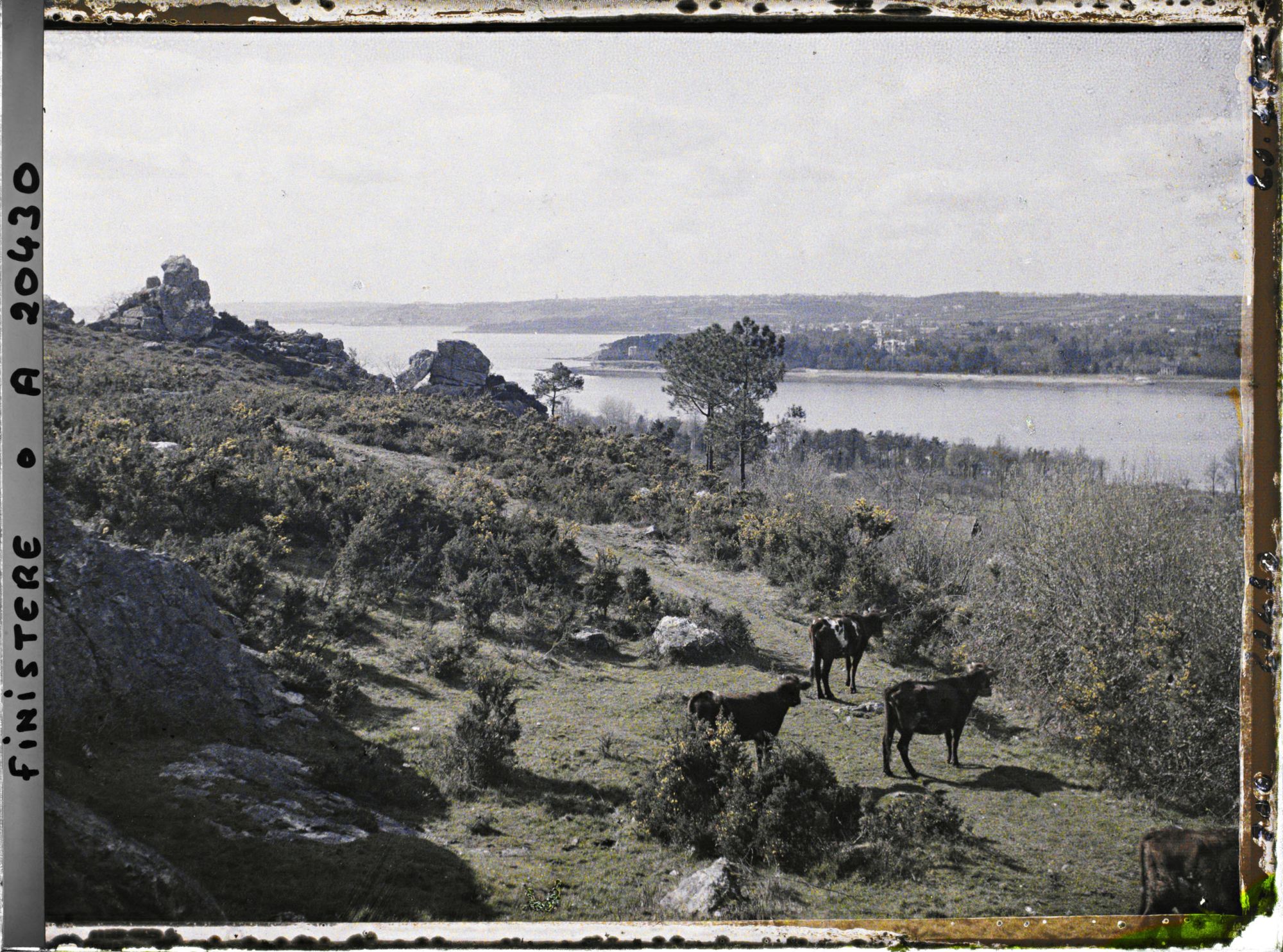 Image représentant L'Elorn et la rade de Brest vus des hauteurs du Passage