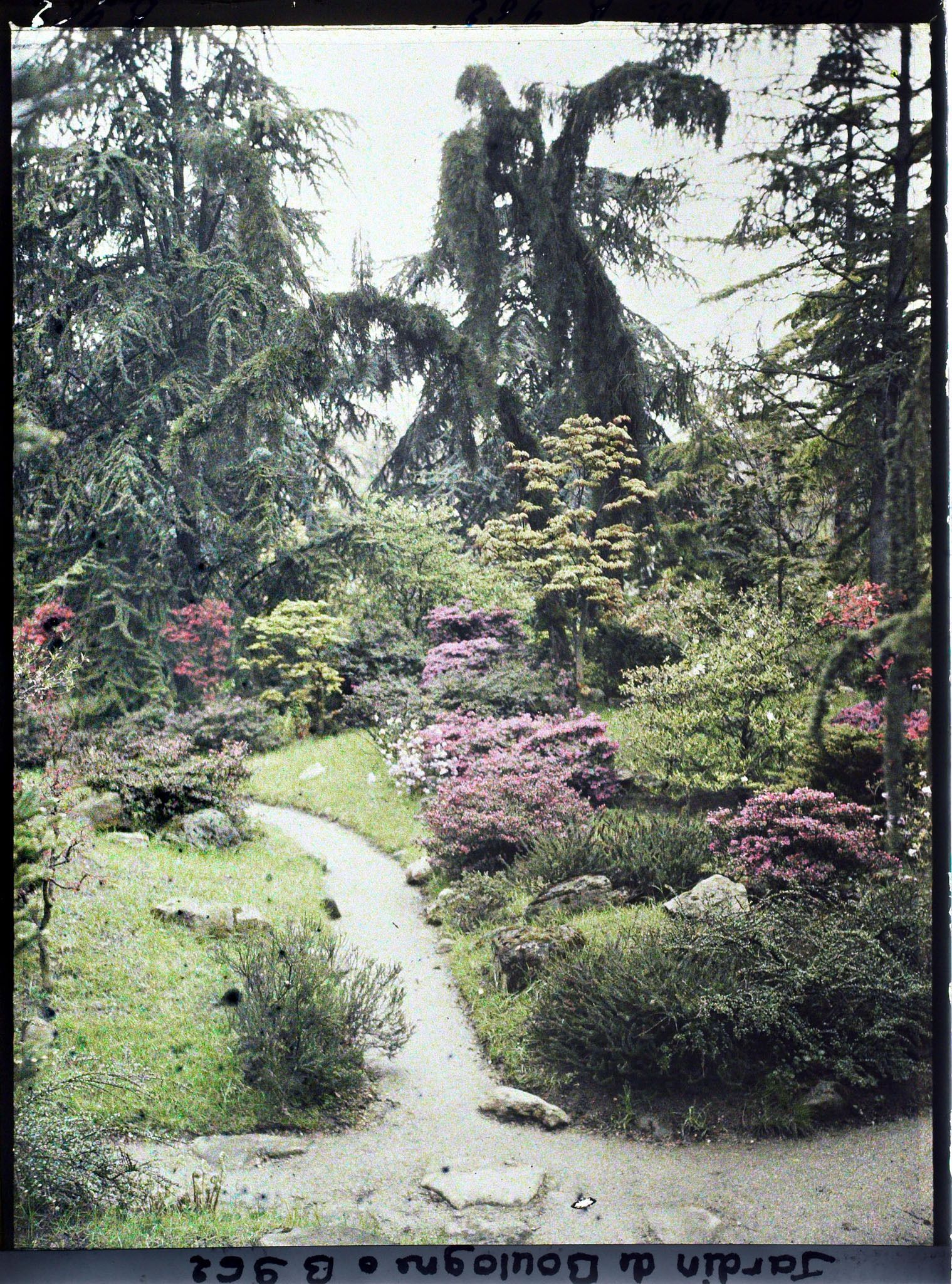 Image représentant Chemin du " sanctuaire japonais " bordé d'érables et d'azalées, à la sortie du " village japonais "